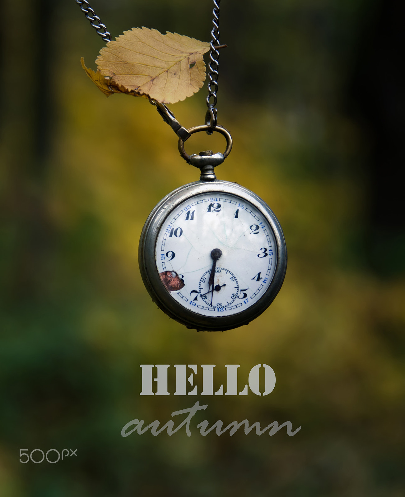 Nikon AF Nikkor 24-85mm F2.8-4D IF sample photo. Hello autumn text, park and old pocket watch photography