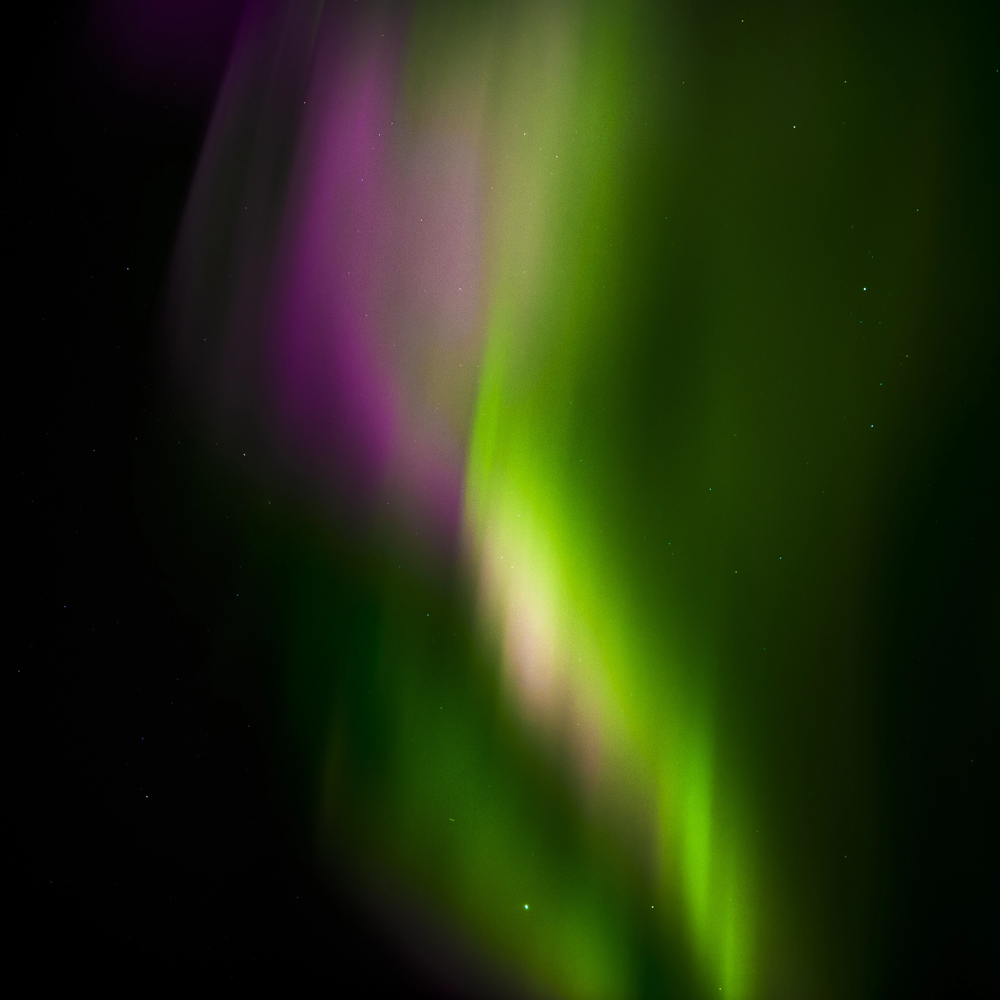 Nikon Df + Sigma 50mm F1.4 DG HSM Art sample photo. @ ghs photography - aurora 2016 (high res) photography