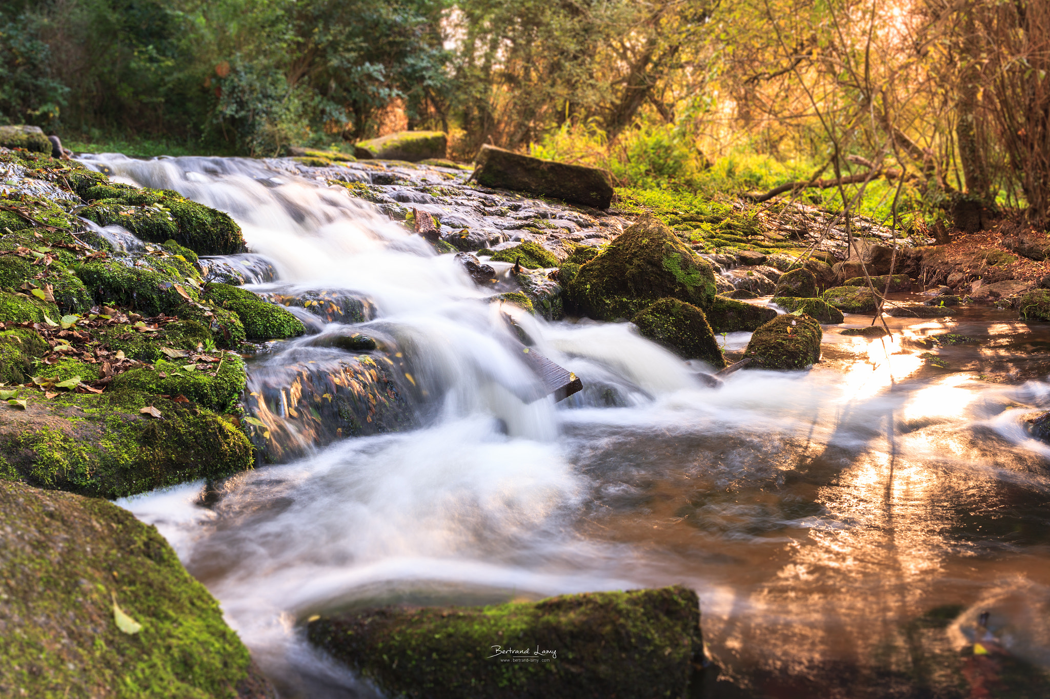 Canon EF-S 24mm F2.8 STM sample photo. La belle nature photography