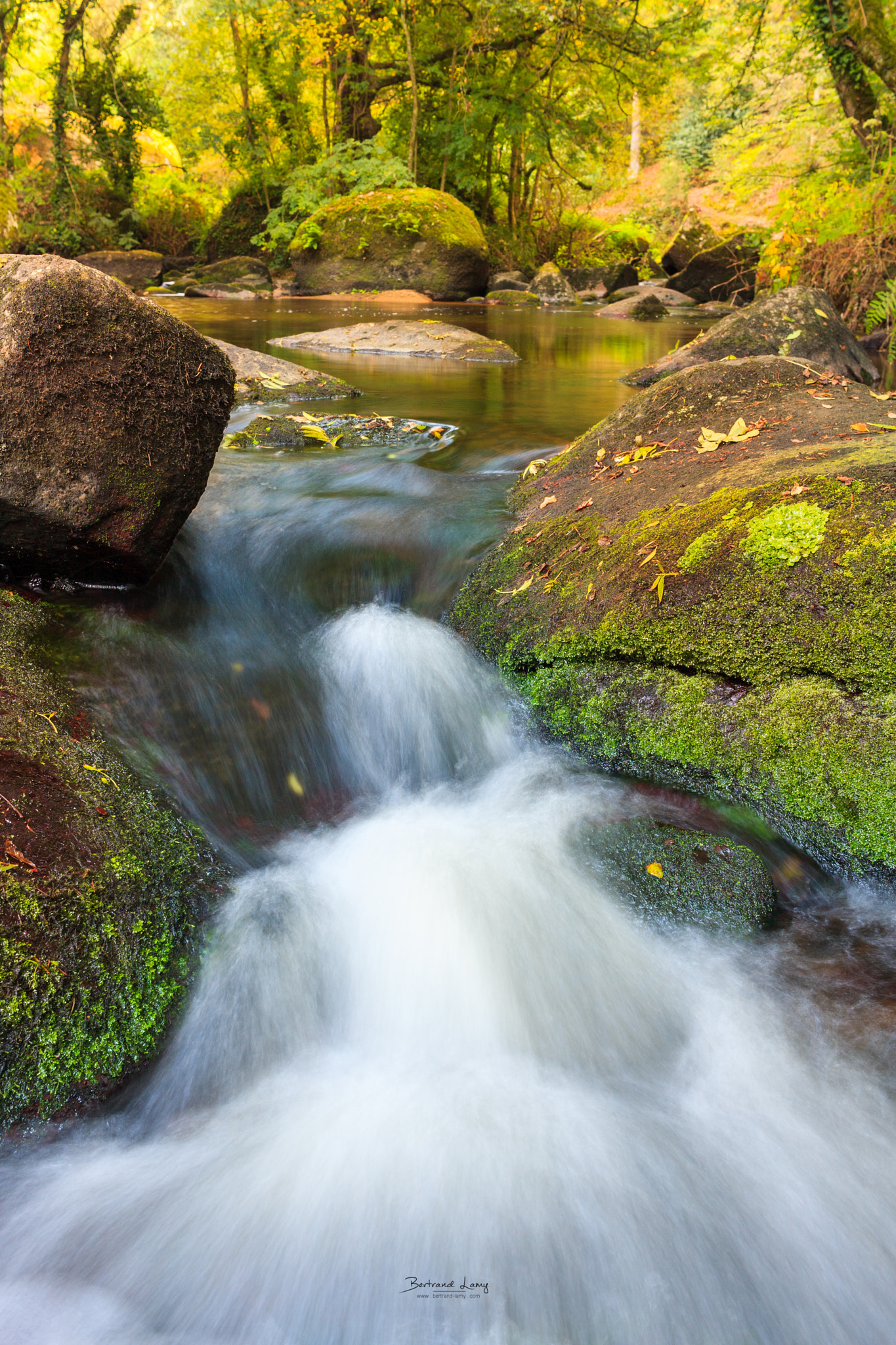 Canon EF-S 24mm F2.8 STM sample photo. La belle nature ii photography
