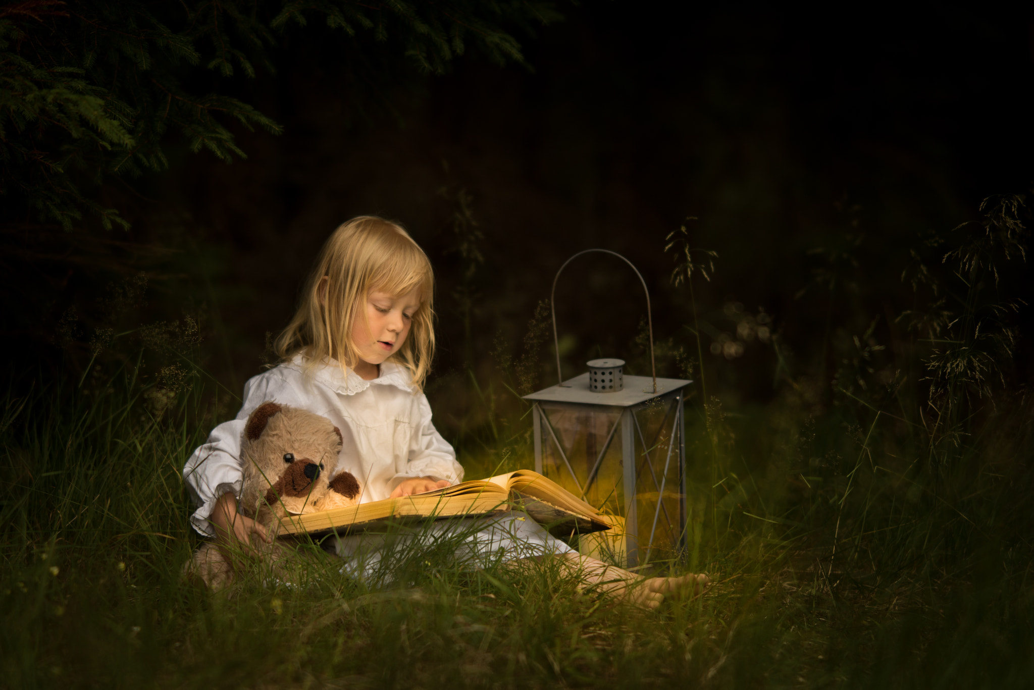 Nikon D810 sample photo. The enchanted book photography