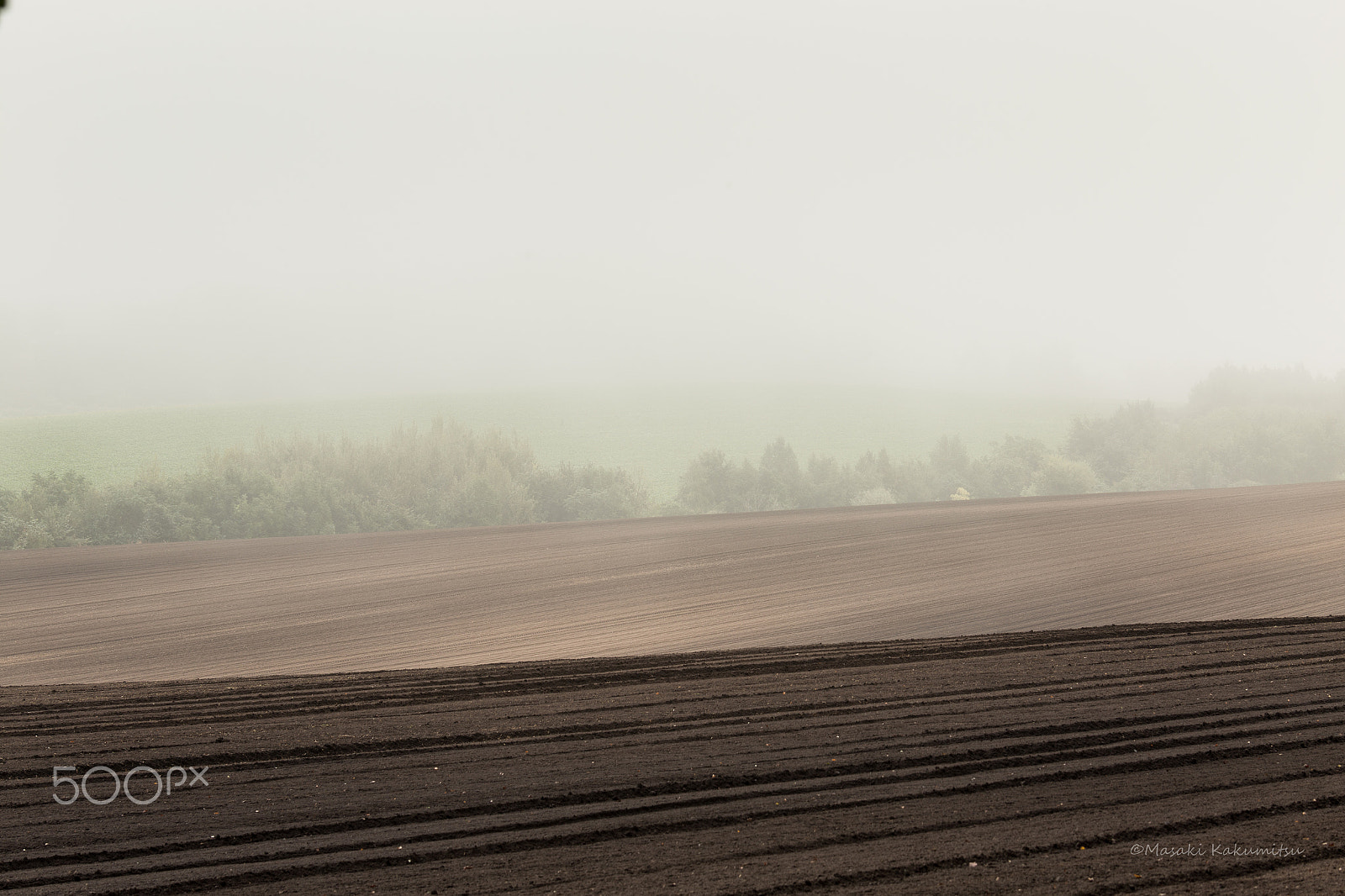 Canon EF 70-200mm F4L IS USM sample photo. Green mist photography