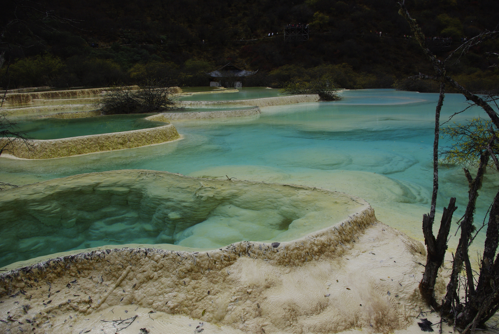 Pentax K200D sample photo. Calcification pool photography