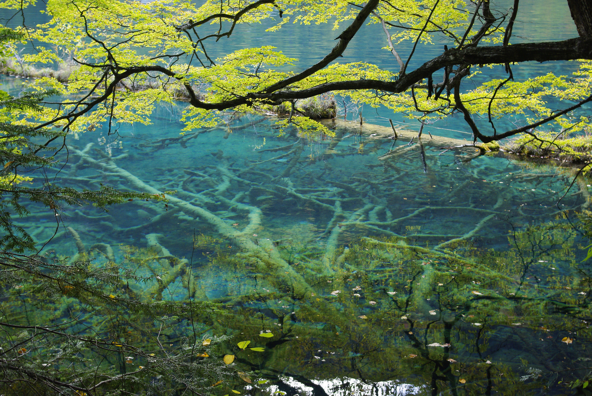 Pentax K200D sample photo. The crystal lake photography