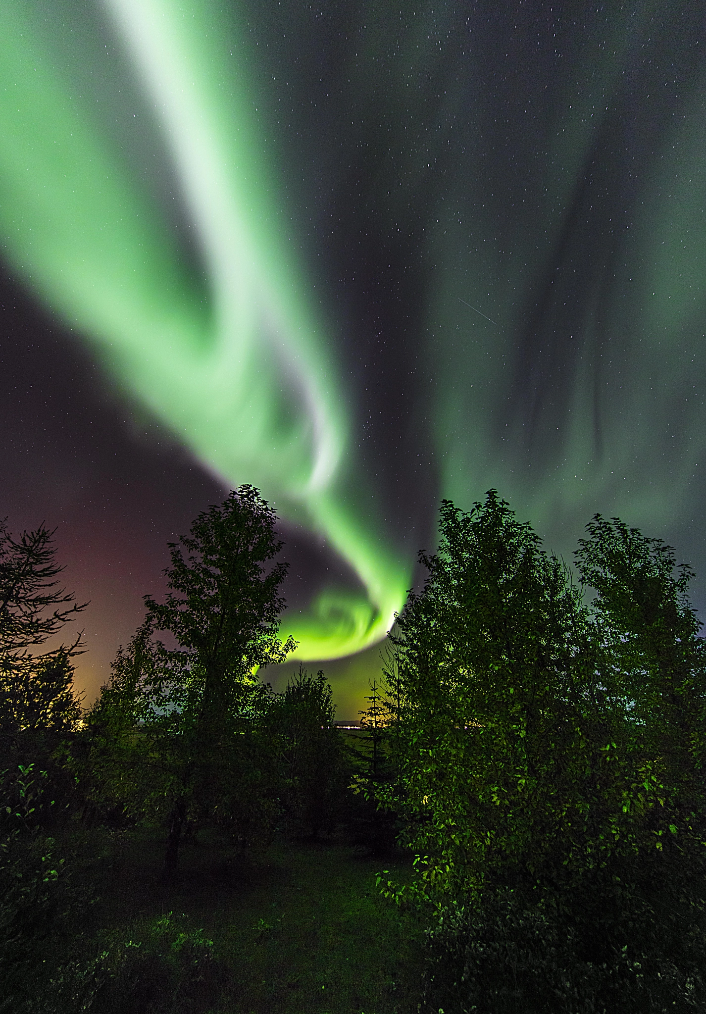 Canon EOS 5DS + Canon EF 11-24mm F4L USM sample photo. Aurora and the trees. photography