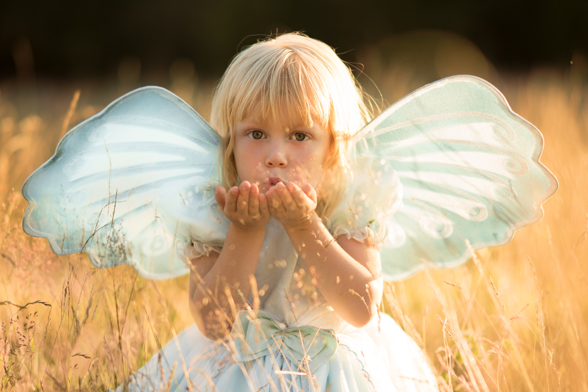 Nikon D810 + Nikon AF Nikkor 105mm F2D DC sample photo. Fairy dust photography