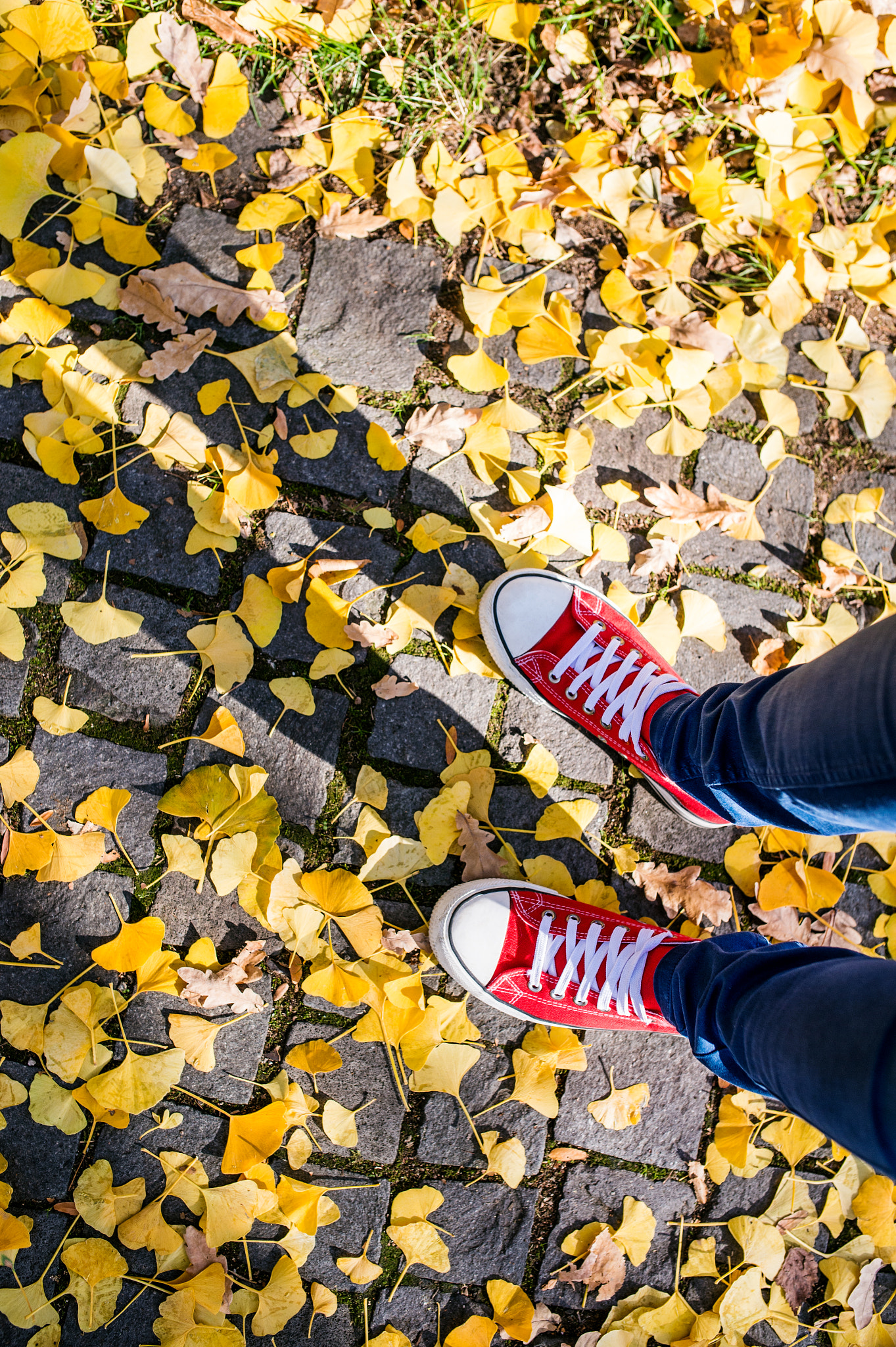 Nikon D4S sample photo. Legs of unrecognizable person in winter boots. colorful autumn l photography