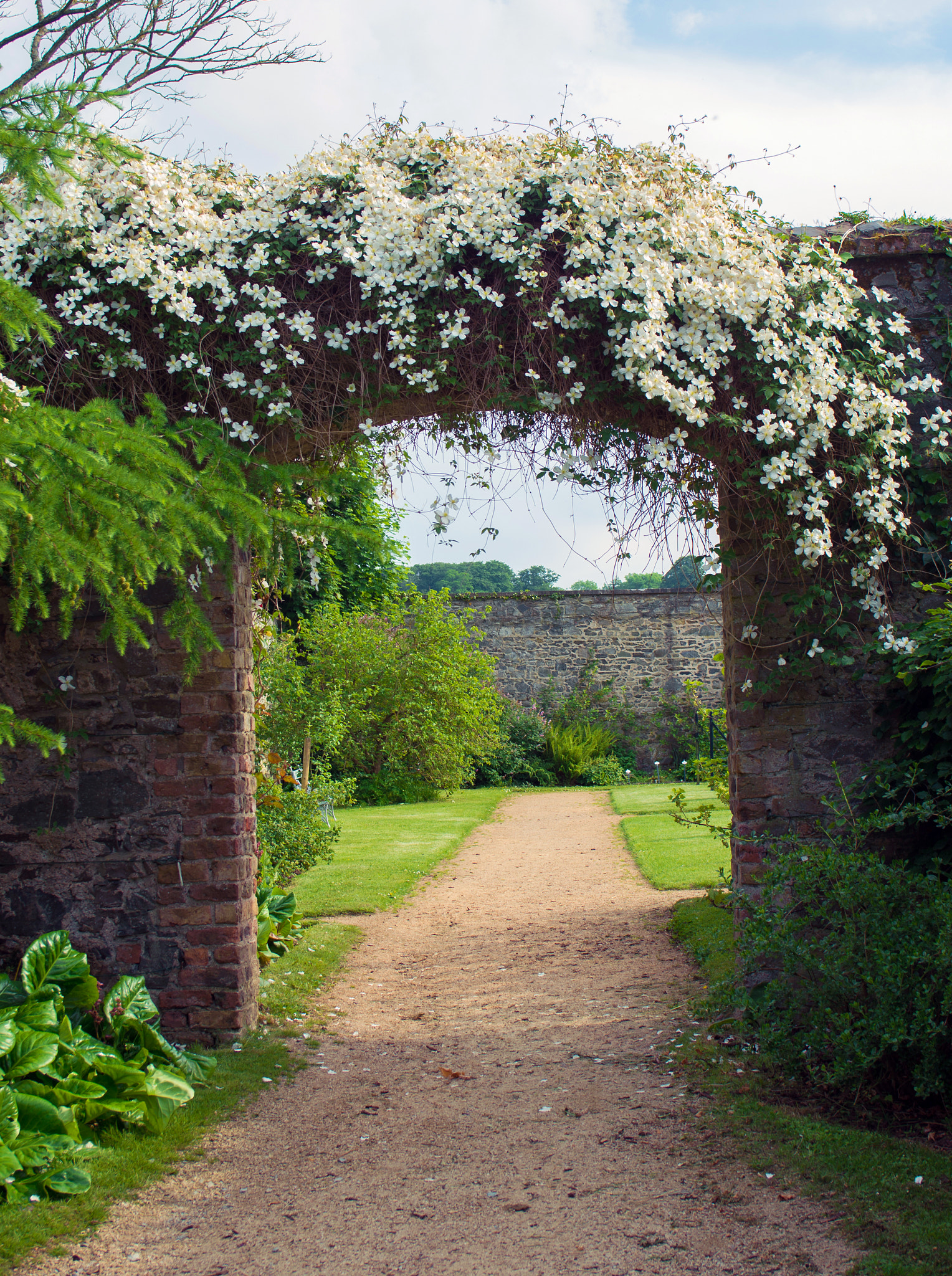 smc PENTAX-F 28mm F2.8 sample photo. Garden arch photography