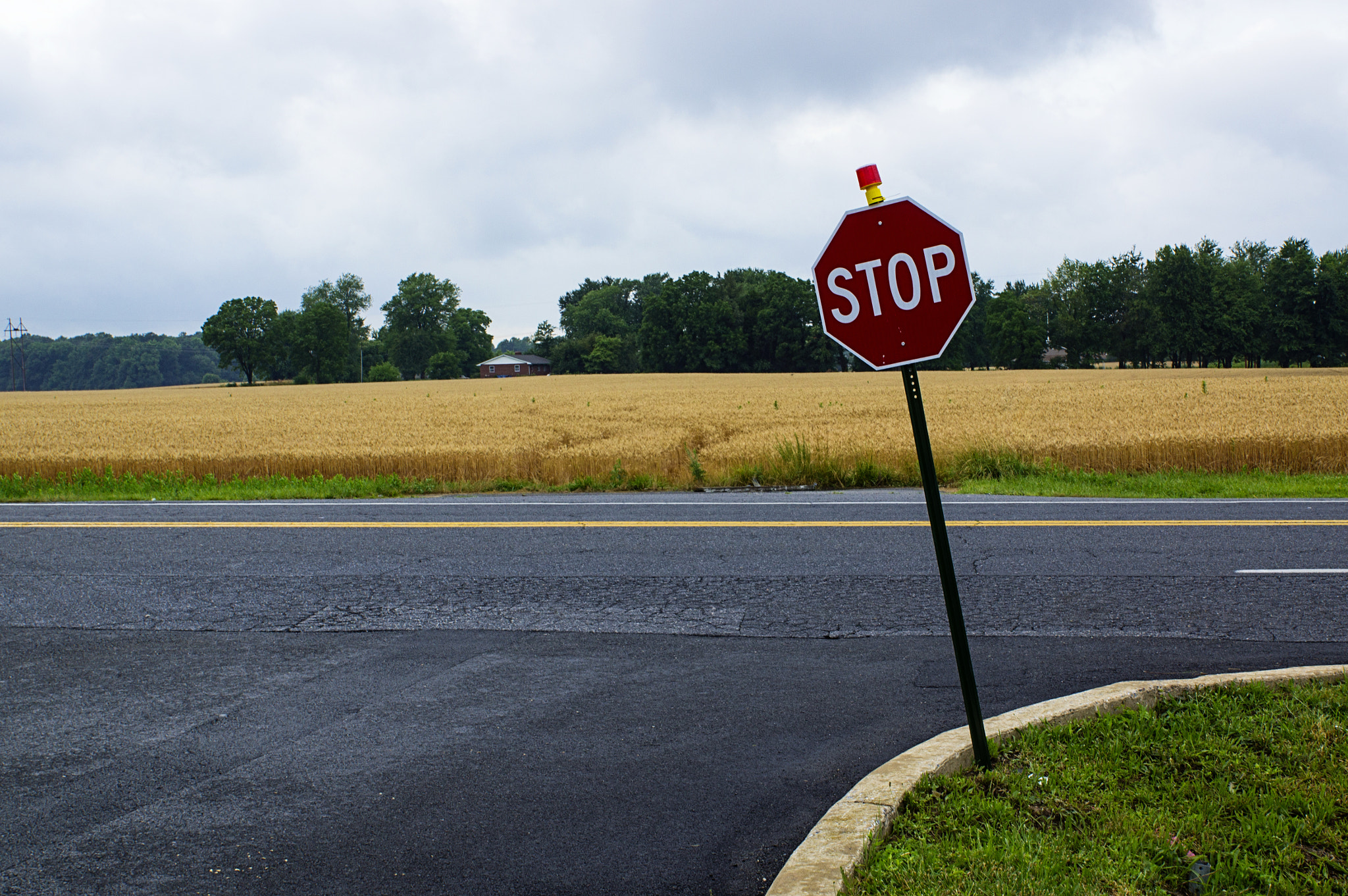 Sony Alpha DSLR-A580 + Sony DT 16-50mm F2.8 SSM sample photo. Usa photography