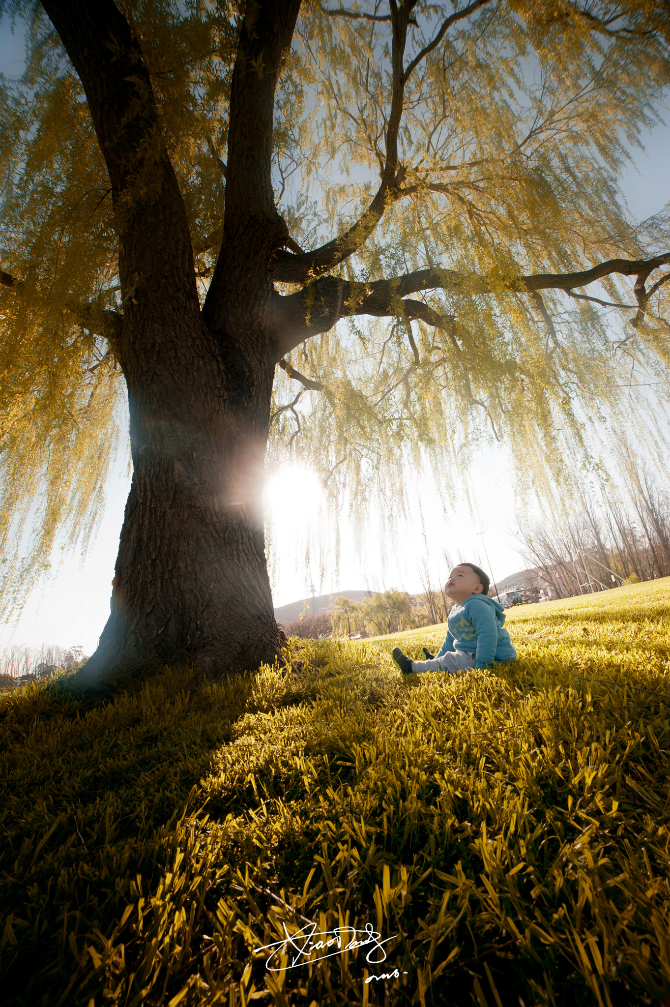Samyang 14mm F2.8 ED AS IF UMC sample photo. 副本 photography