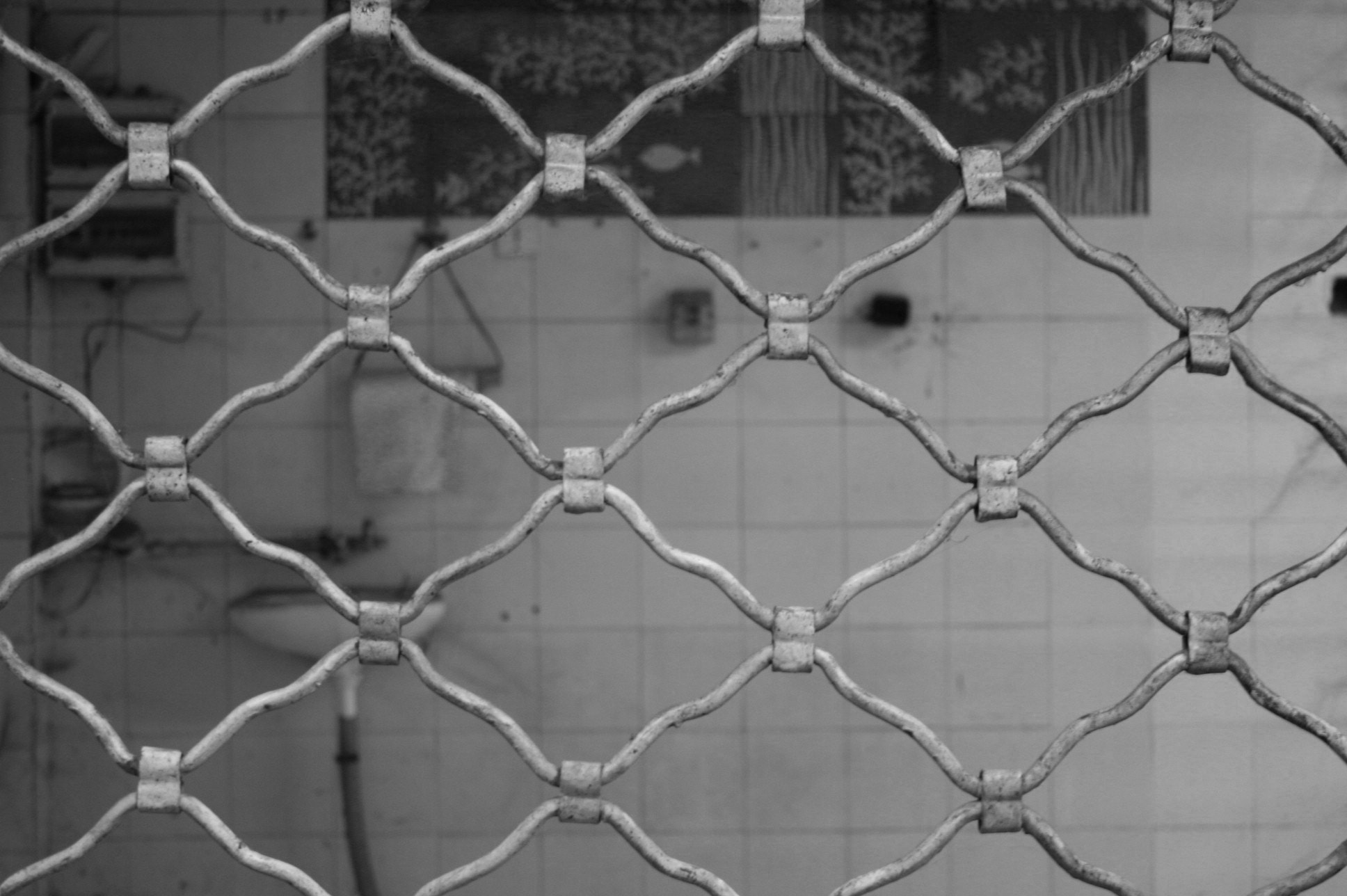 Canon EOS 400D (EOS Digital Rebel XTi / EOS Kiss Digital X) sample photo. Sometimes we think we're free. photography