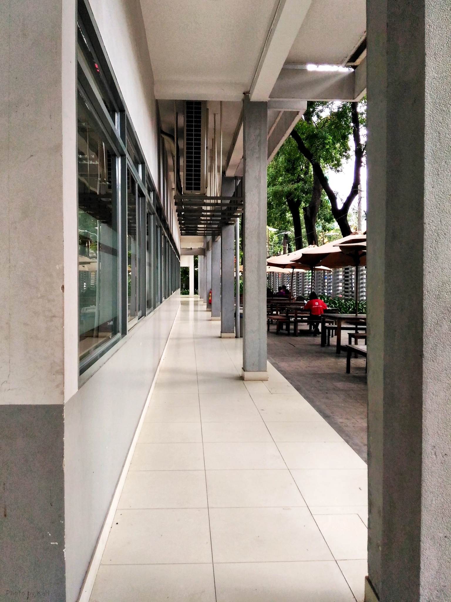 ASUS ZenFone Max (ZC550KL) sample photo. ... photography