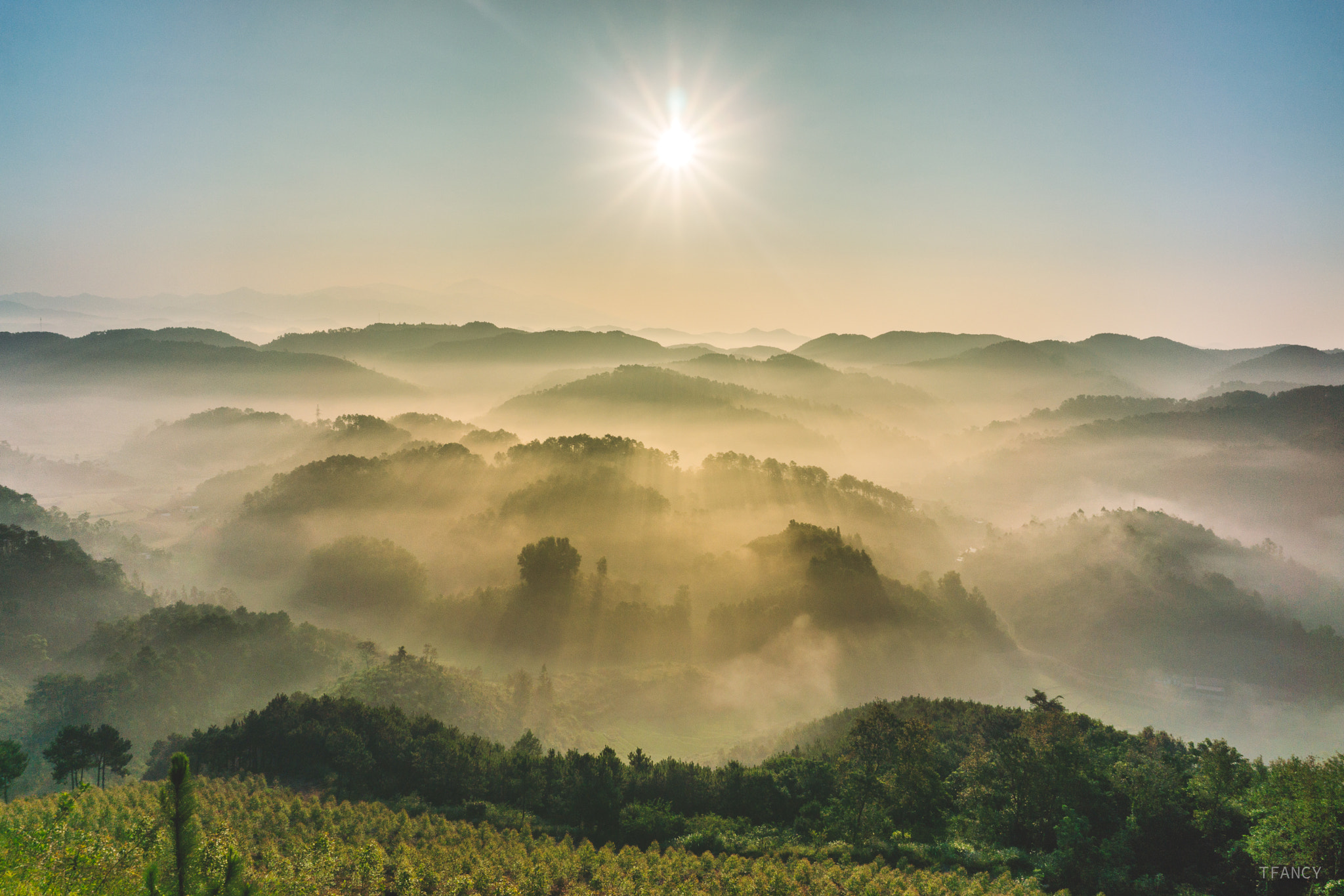 Sony Alpha NEX-7 sample photo. When a new day has come photography