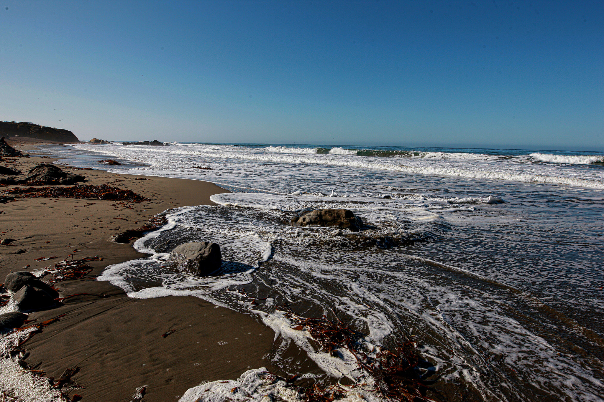 Canon 20mm F1.4 DG HSM | Art 015 sample photo