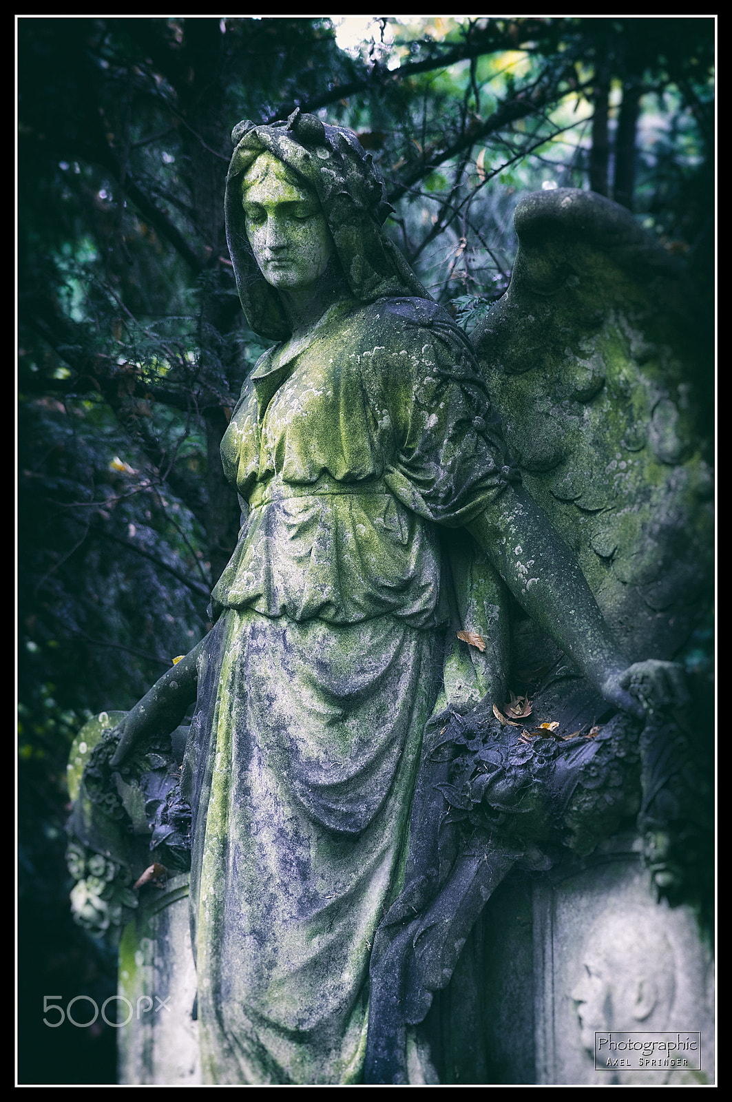 Pentax K-3 + A Series Lens sample photo. Grazie mit flügeln photography