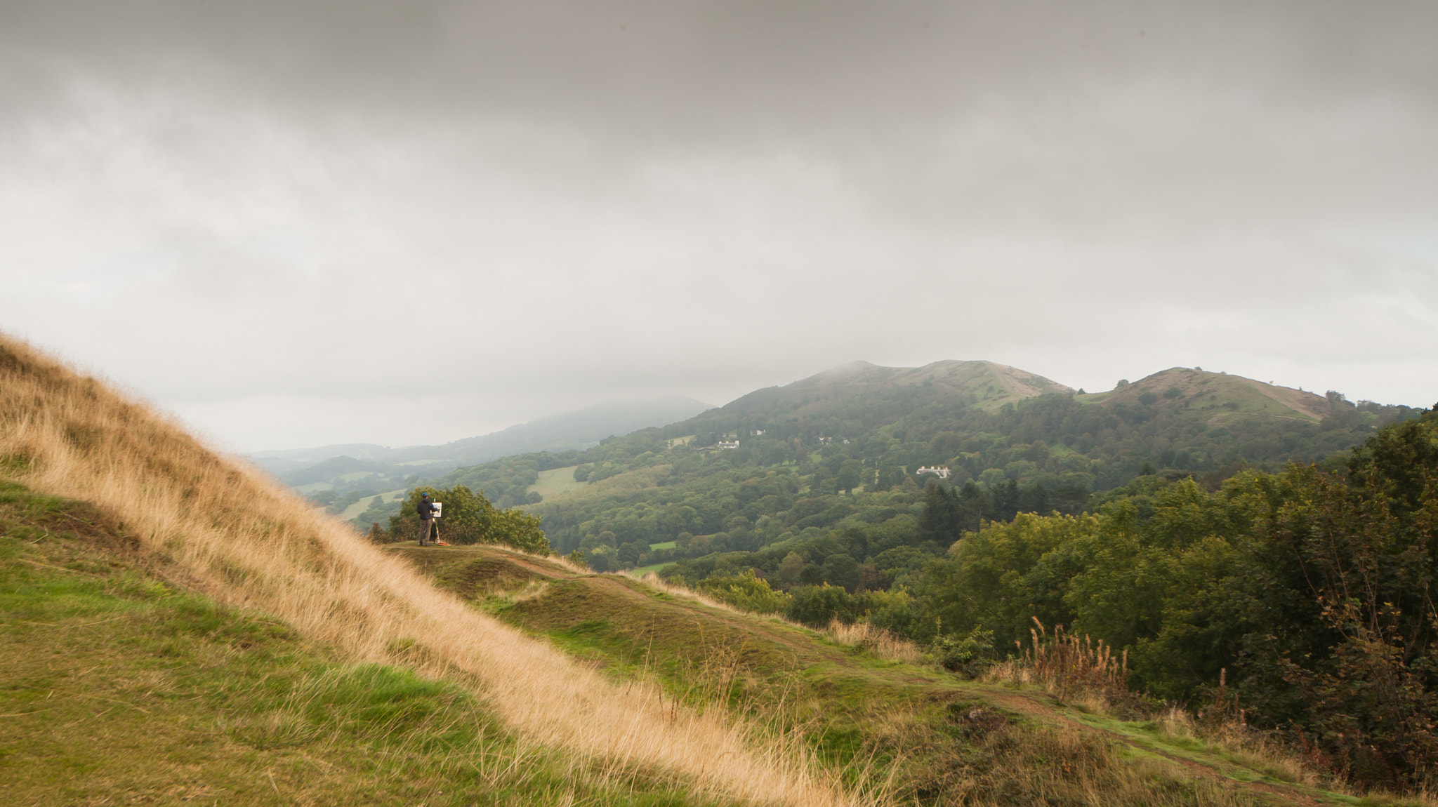 Canon EOS-1D Mark III sample photo. Artistic landscape photography