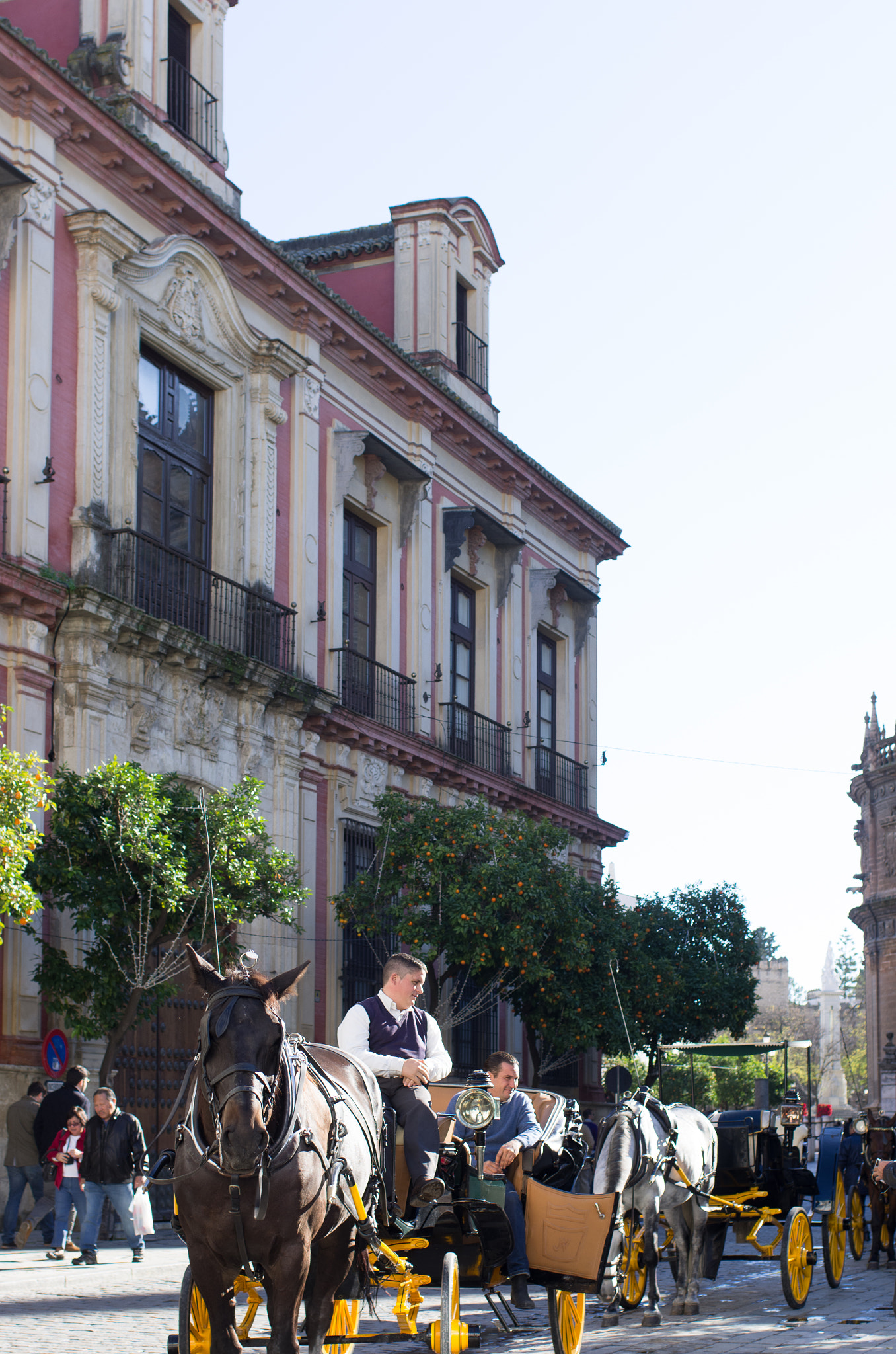 Pentax K-5 + HD Pentax-FA 35mm F2 AL sample photo. Coachman in seville photography