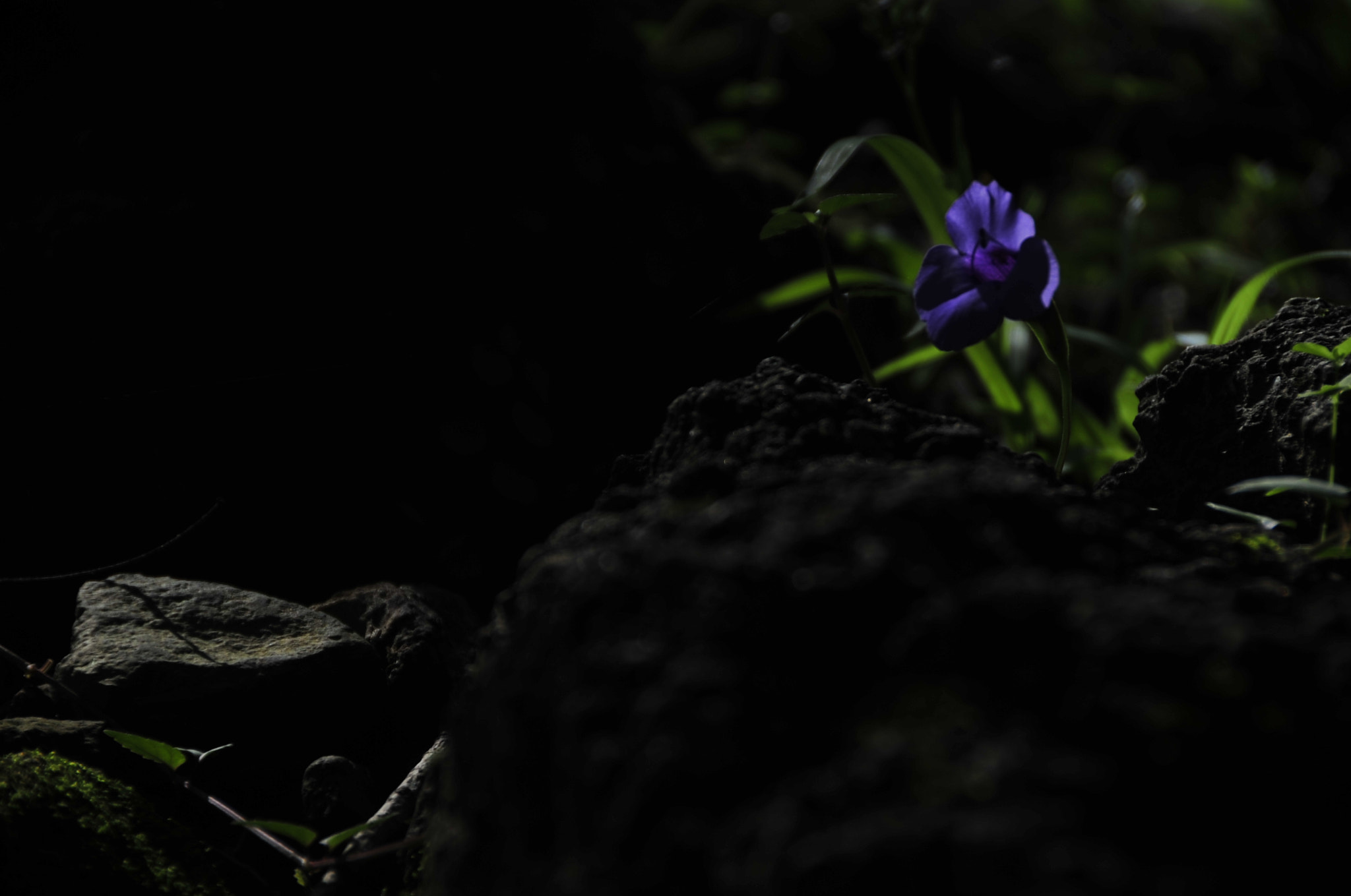 Nikon D3 sample photo. .. photography