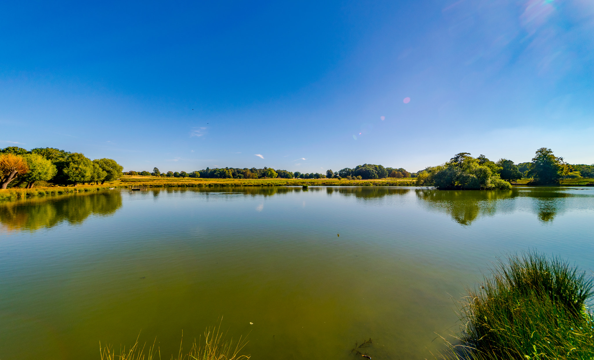 Sigma 8-16mm F4.5-5.6 DC HSM sample photo. Reflection 2 photography