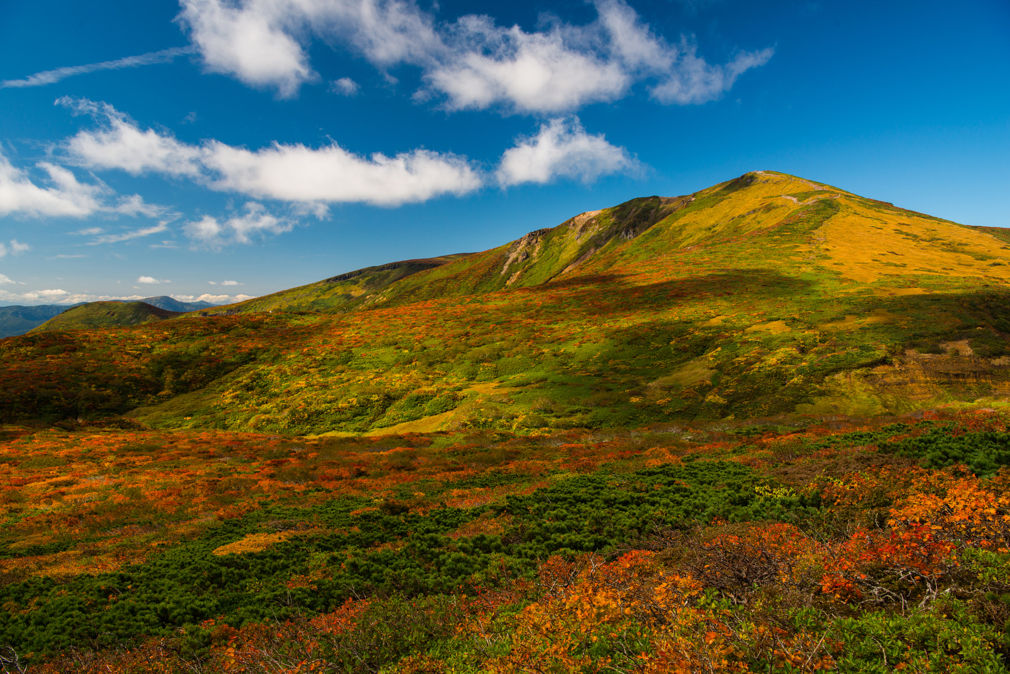 Nikon AF-S Nikkor 24-70mm F2.8E ED VR sample photo. Japanese beautiful season 2 photography