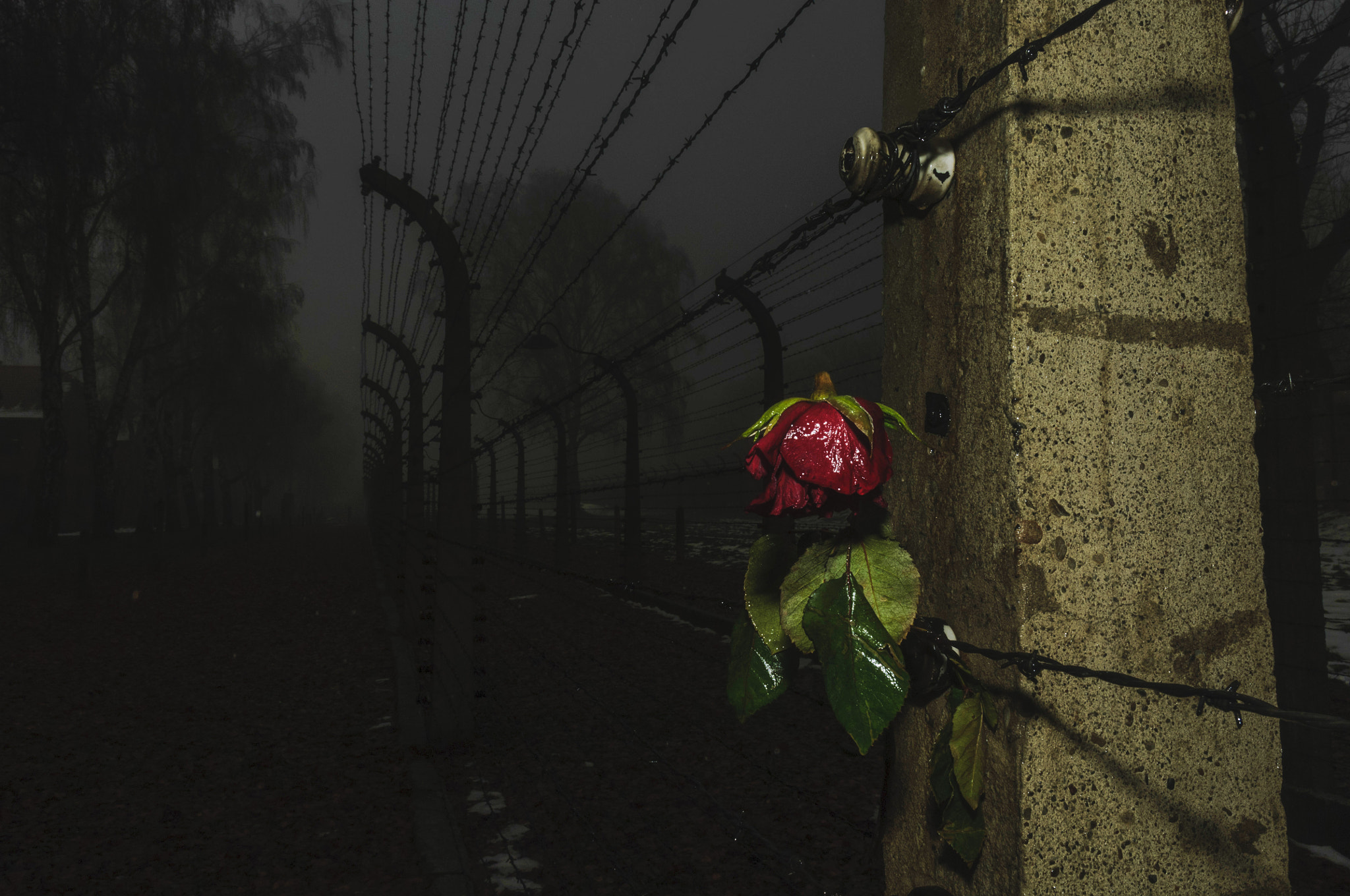 Nikon D2X sample photo. Auschwitz birkenau photography