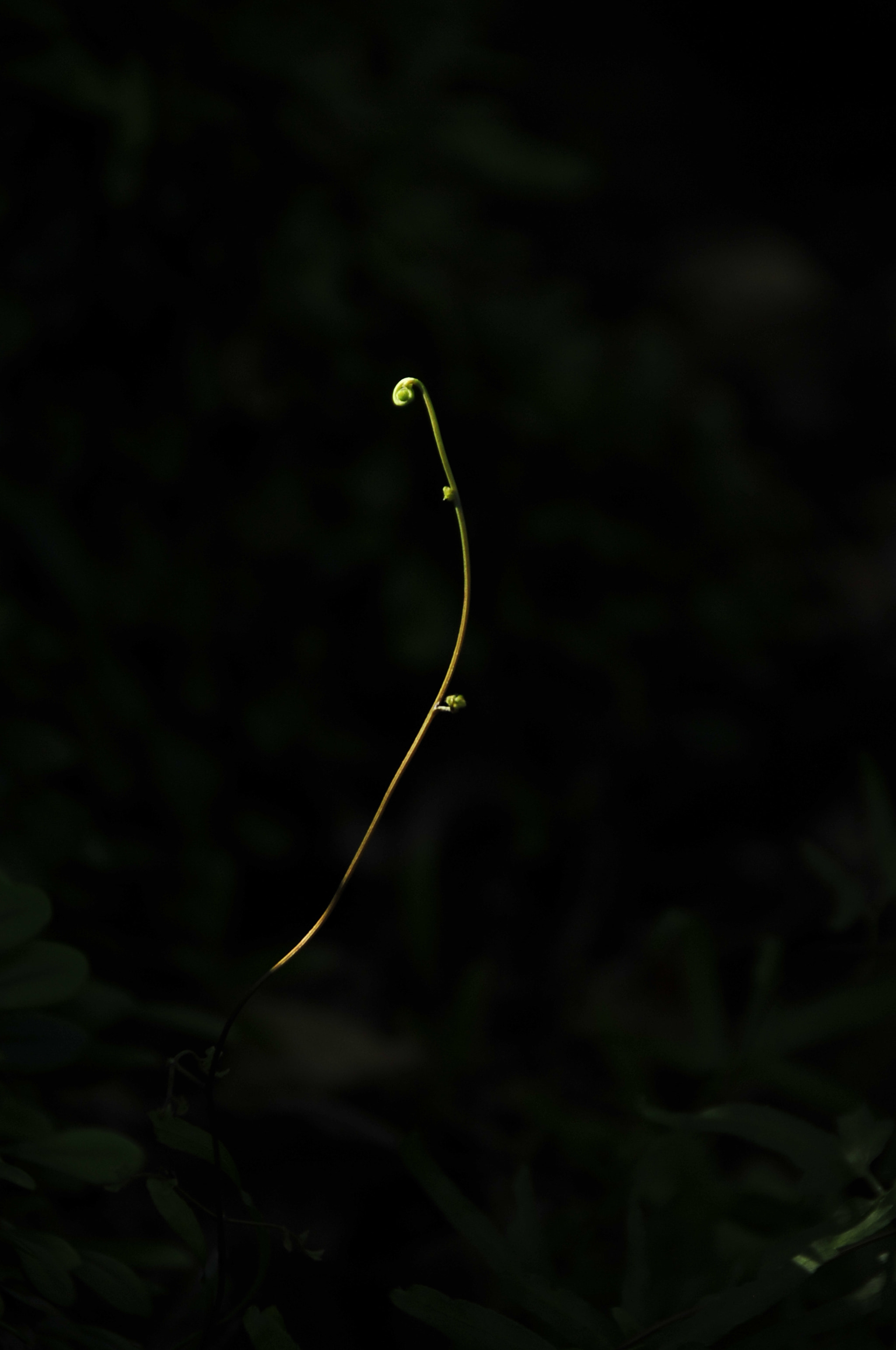 Nikon D3 sample photo. .. photography