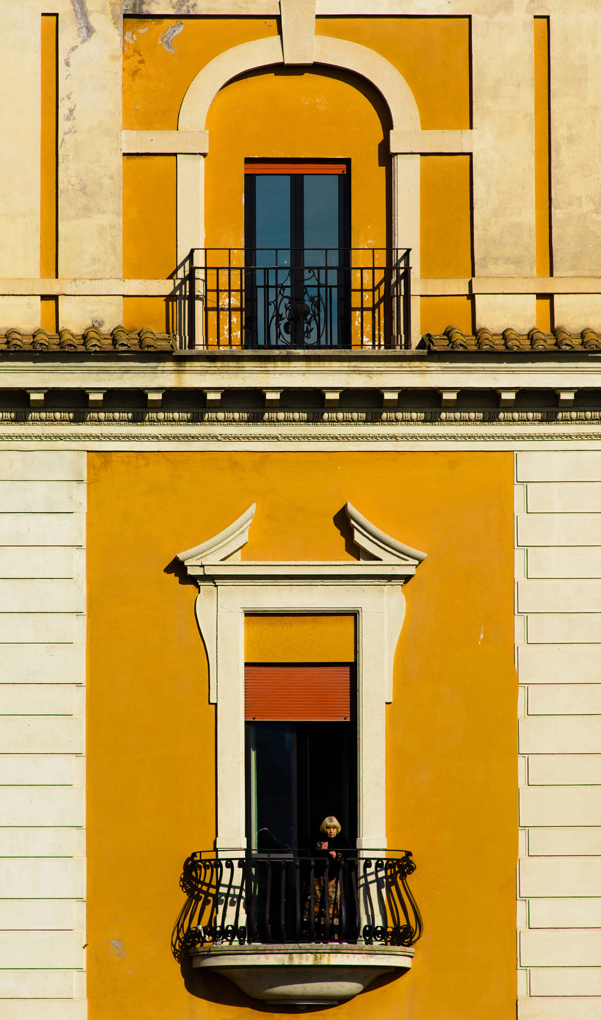 Nikon D7100 + AF Nikkor 180mm f/2.8 IF-ED sample photo. Yellow photography