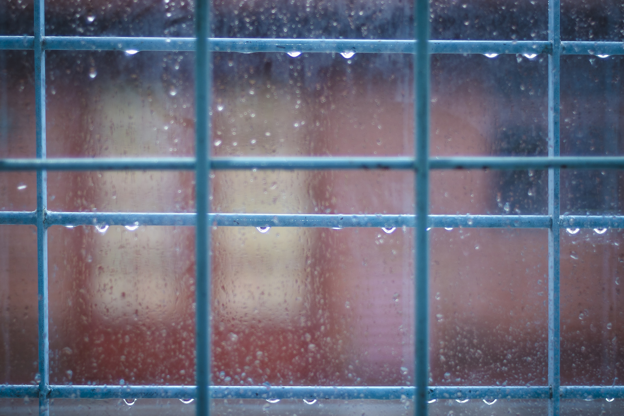 Nikon D7000 sample photo. Trapped in the rain photography