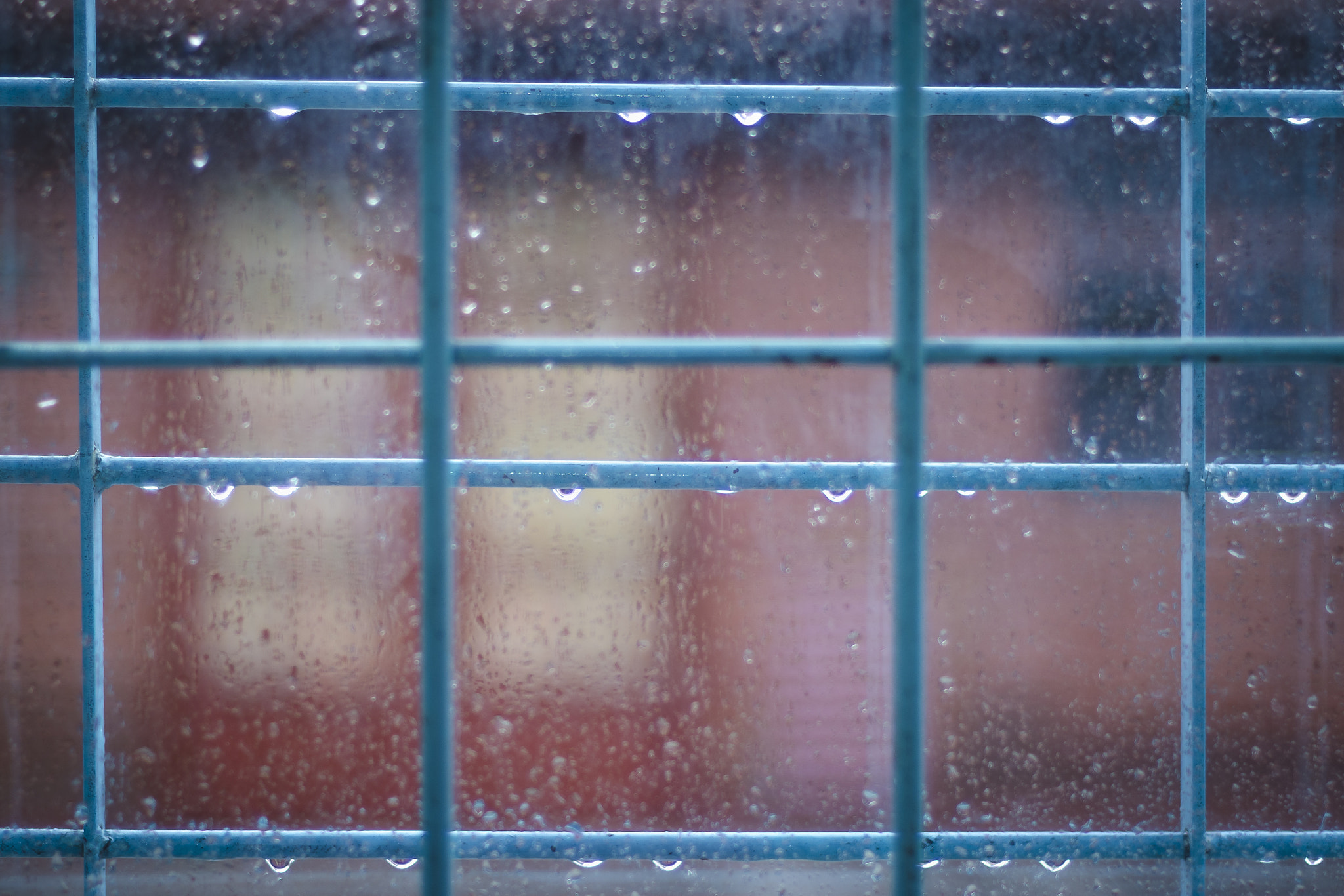 Nikon D7000 + AF Nikkor 50mm f/1.4 sample photo. Trapped in the rain photography