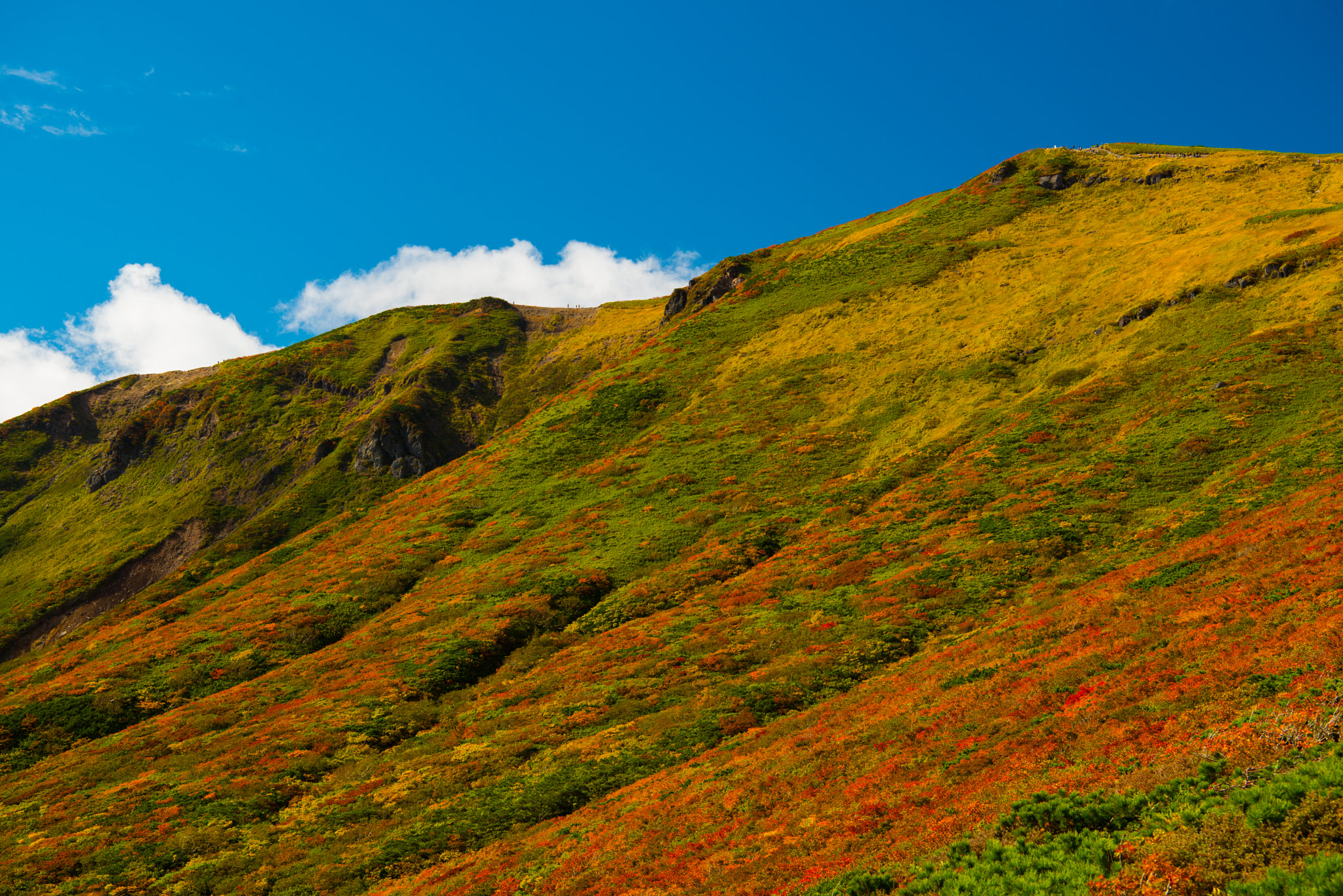 Nikon AF-S Nikkor 24-70mm F2.8E ED VR sample photo. Japanese beautiful season 3 photography