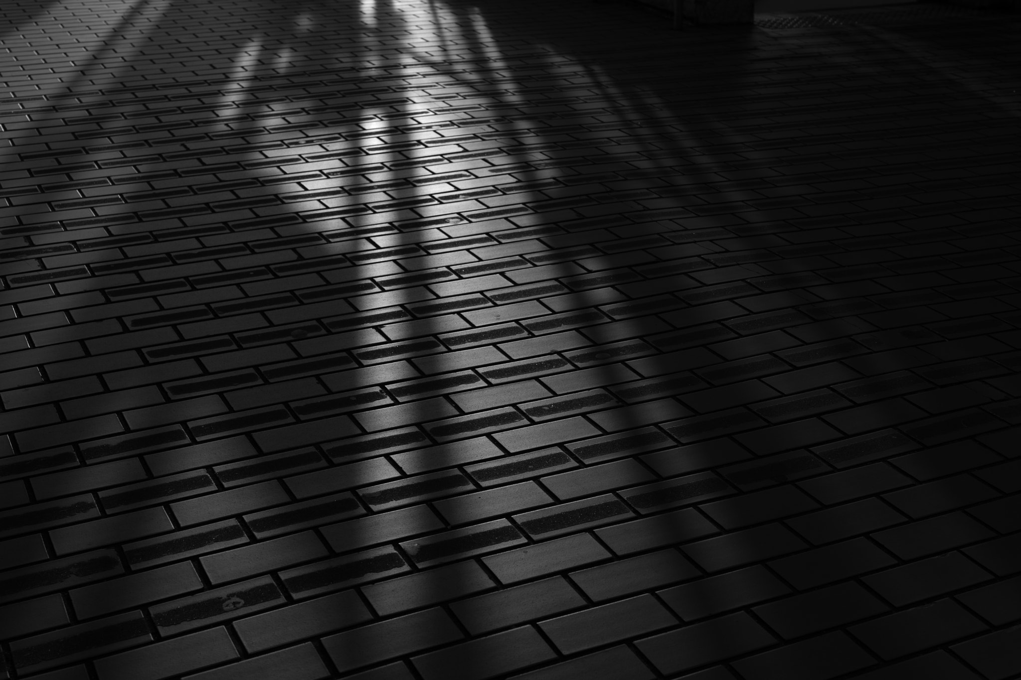 Sony Planar T* FE 50mm F1.4 ZA sample photo. Street photography
