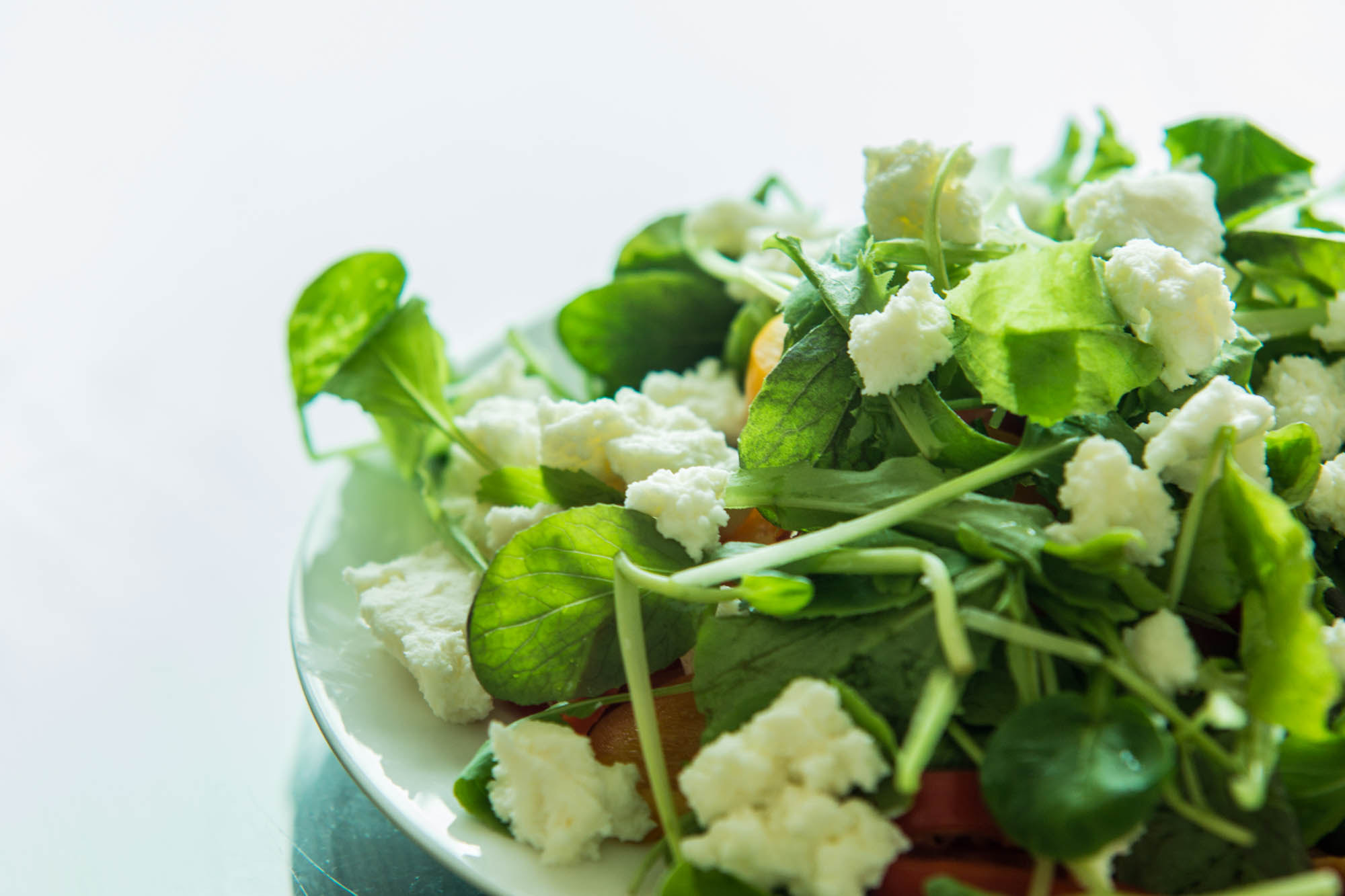 Sony SLT-A65 (SLT-A65V) + 70-200mm F2.8 sample photo. Ricotta cheese salad photography