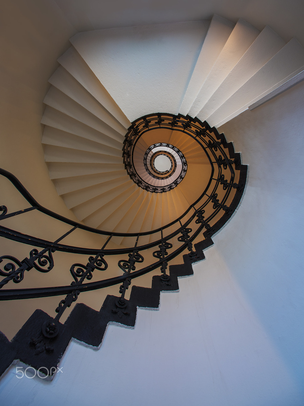 Nikon D810 + Nikon AF Nikkor 14mm F2.8D ED sample photo. Spiral staircase in the building photography