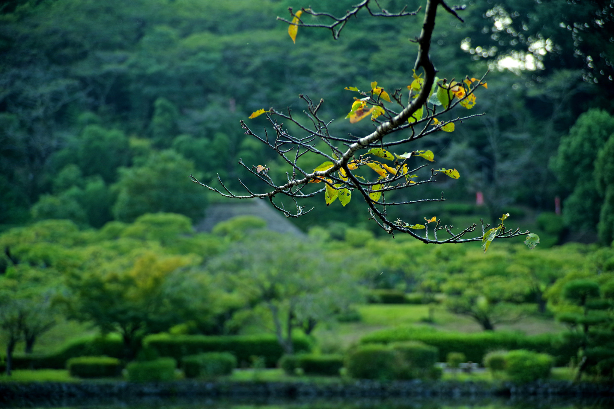 smc PENTAX-FA 28-105mm F4-5.6 [IF] sample photo. Sign of autumn photography