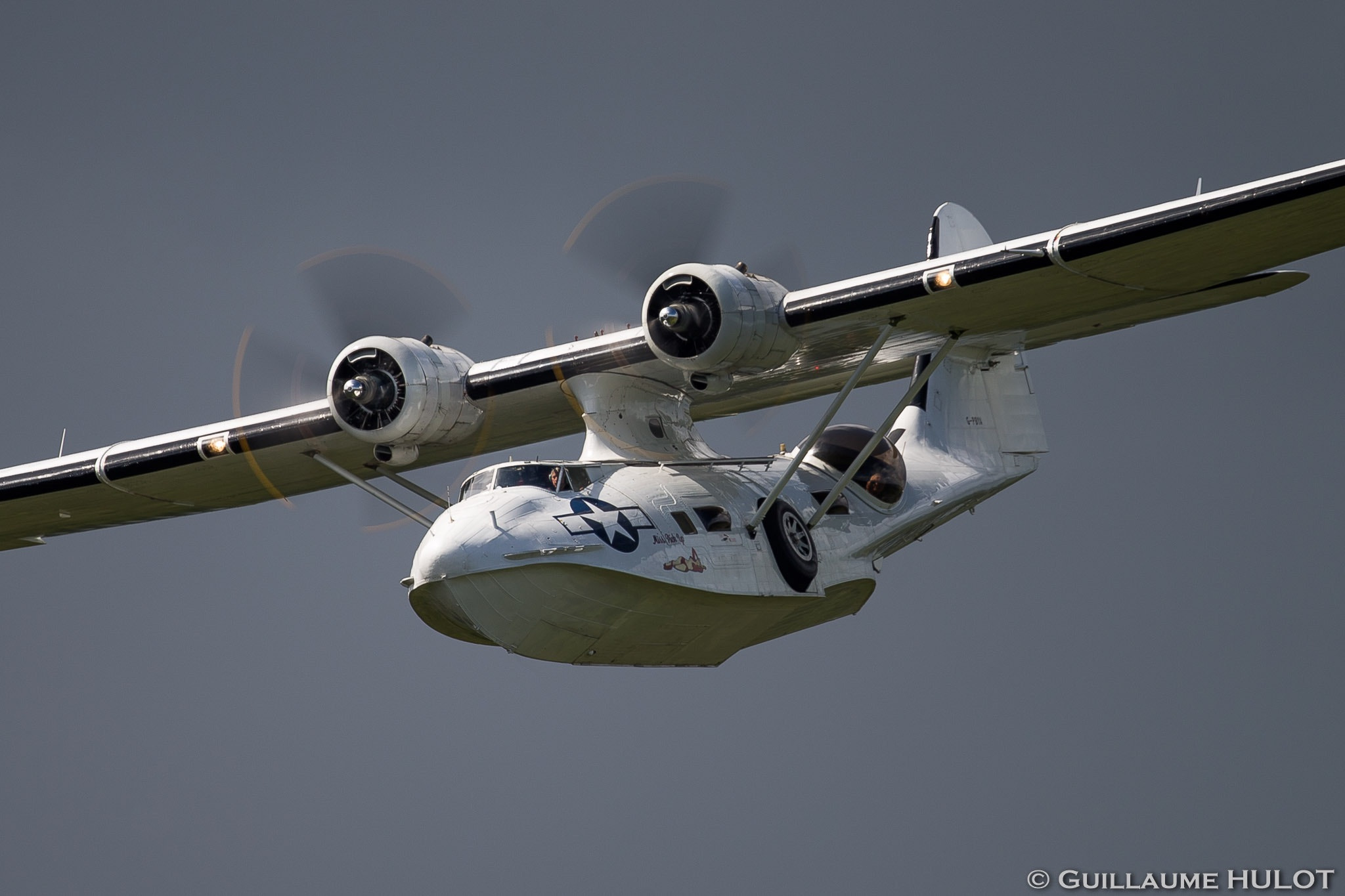 Canon EF 500mm F4L IS USM sample photo. Catalina photography