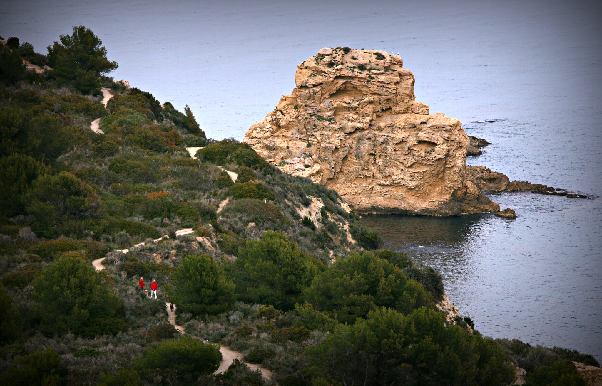 Canon EOS 400D (EOS Digital Rebel XTi / EOS Kiss Digital X) + Sigma 70-200mm F2.8 EX DG OS HSM sample photo. Cape st. martin photography