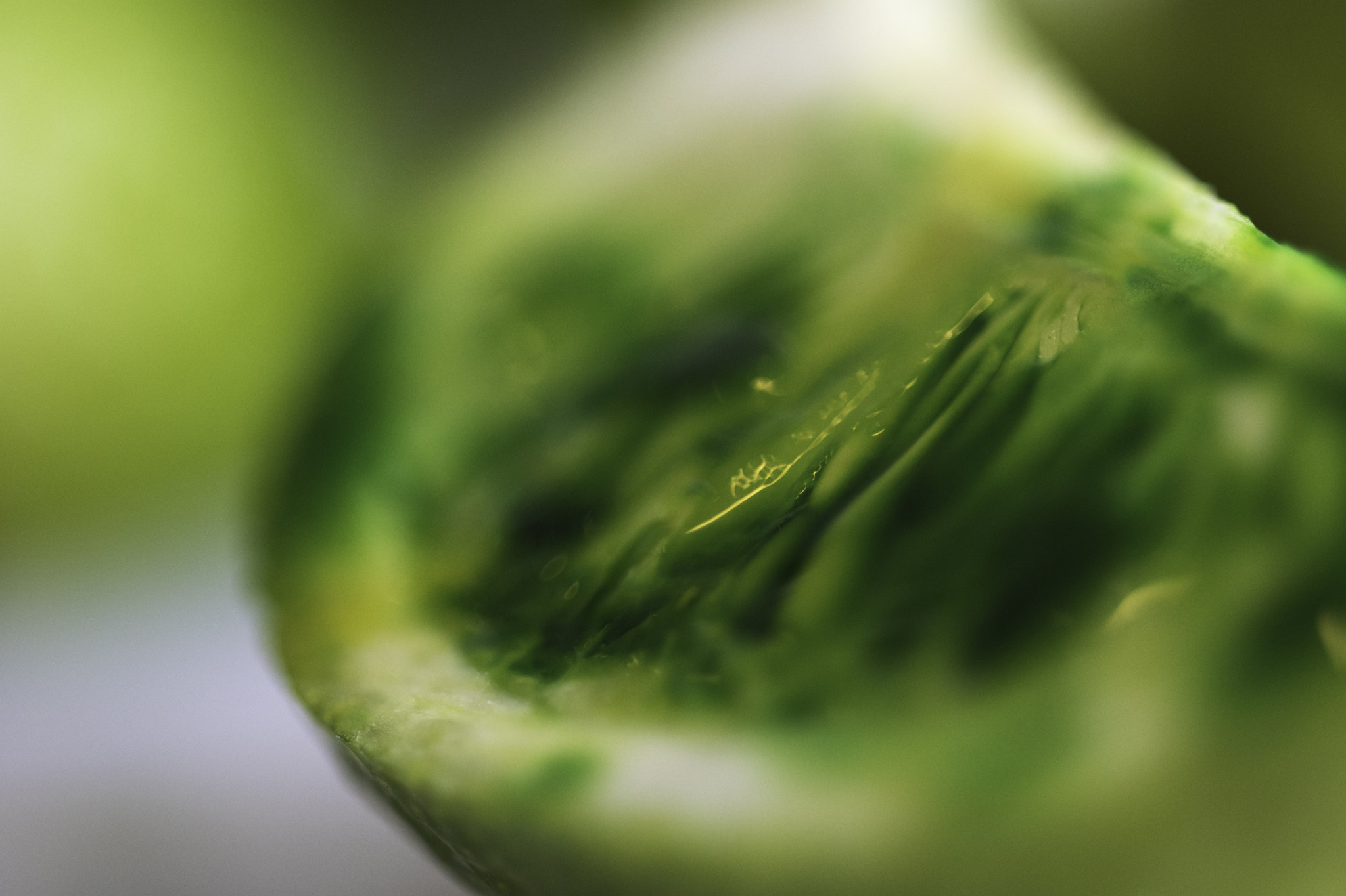 Sigma 105mm F2.8 EX DG OS HSM sample photo. Green photography
