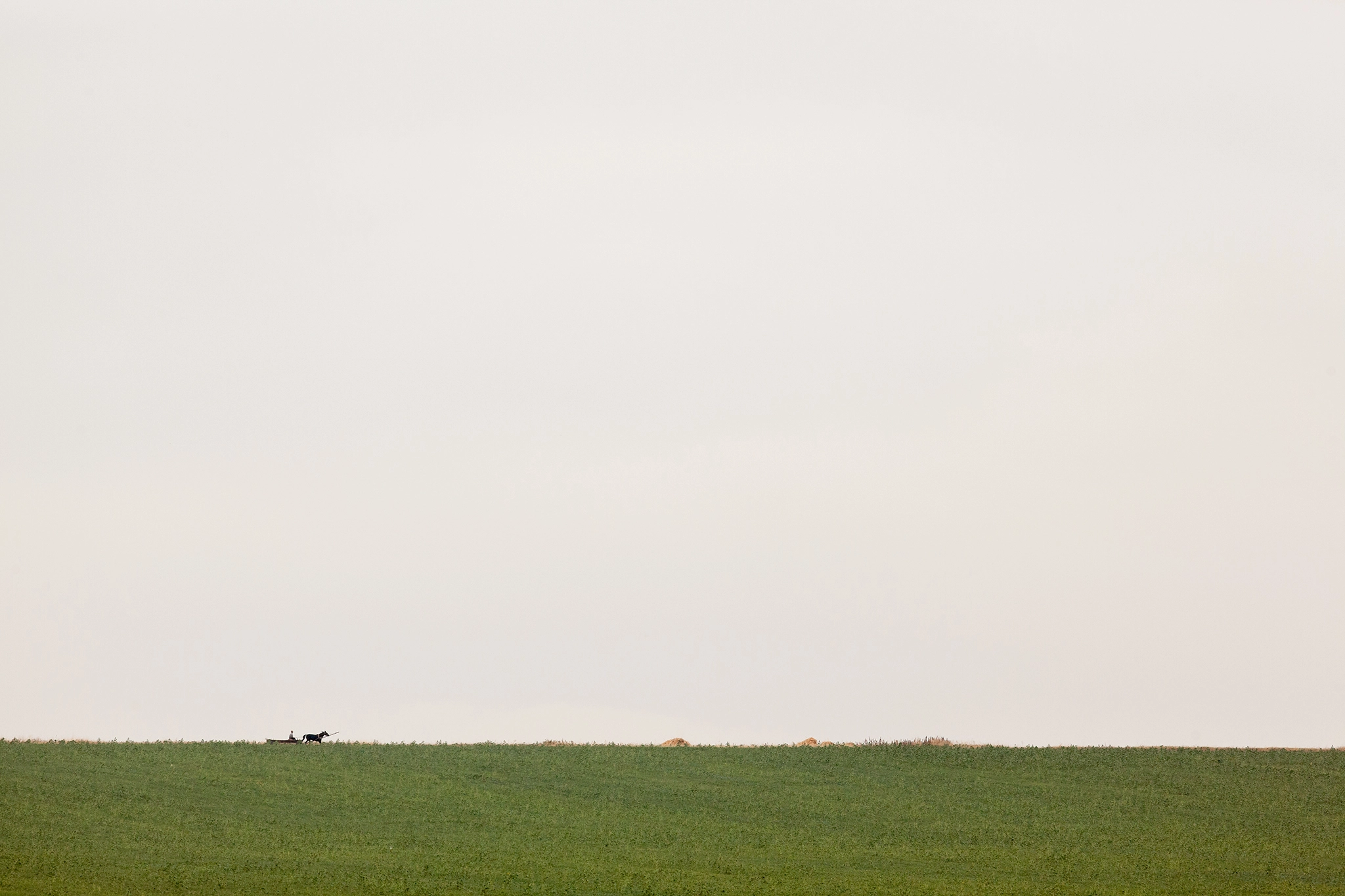 Canon EF 400mm F5.6L USM sample photo. Horse and carriage photography