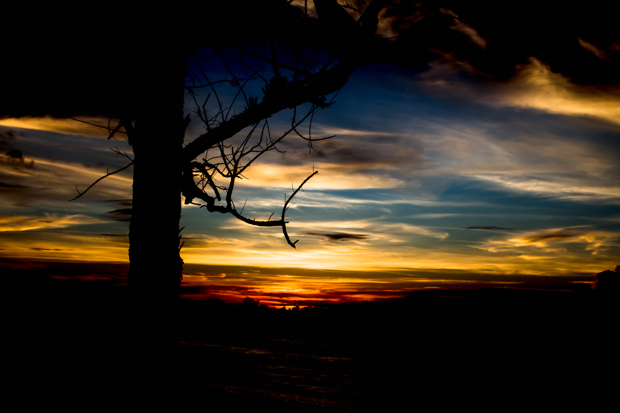 Canon EF 28-80mm f/3.5-5.6 USM sample photo. Mg photography