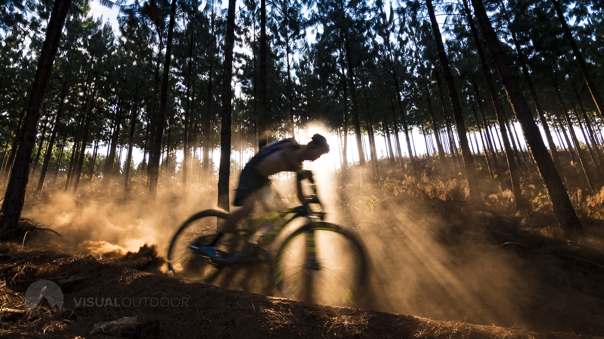 Panasonic Lumix DMC-GH4 sample photo. Afternoon rays through forest mountain biker photography