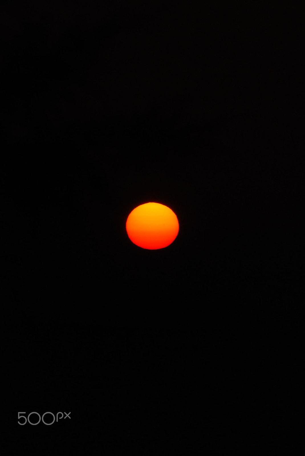 Nikon D80 sample photo. Burning sun photography