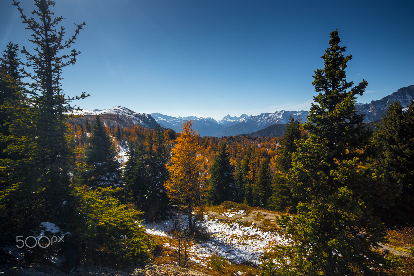 Canon EOS 80D + Sigma 10-20mm F4-5.6 EX DC HSM sample photo. Rockie fall photography