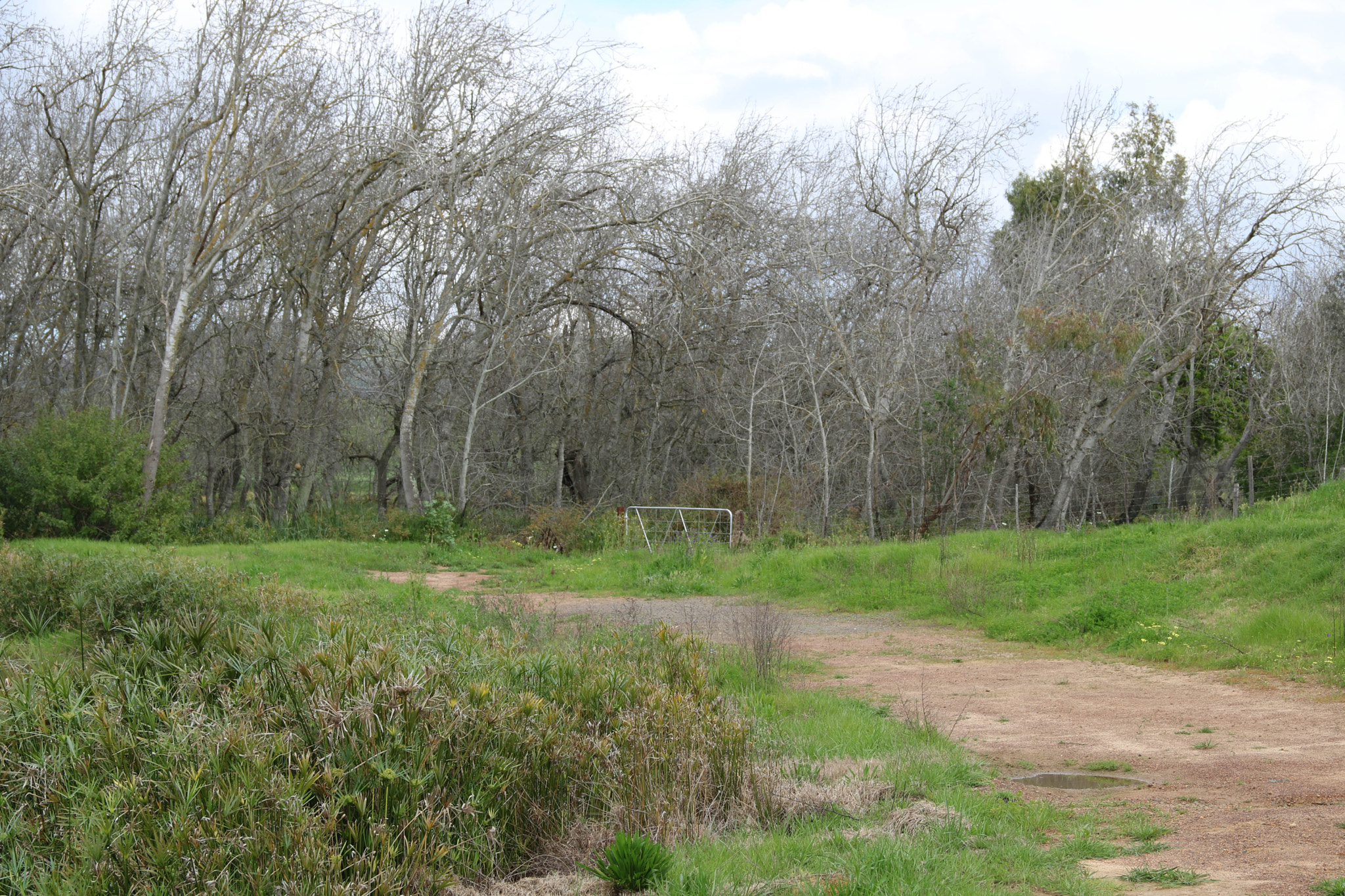 Canon EOS 750D (EOS Rebel T6i / EOS Kiss X8i) sample photo. Escape photography