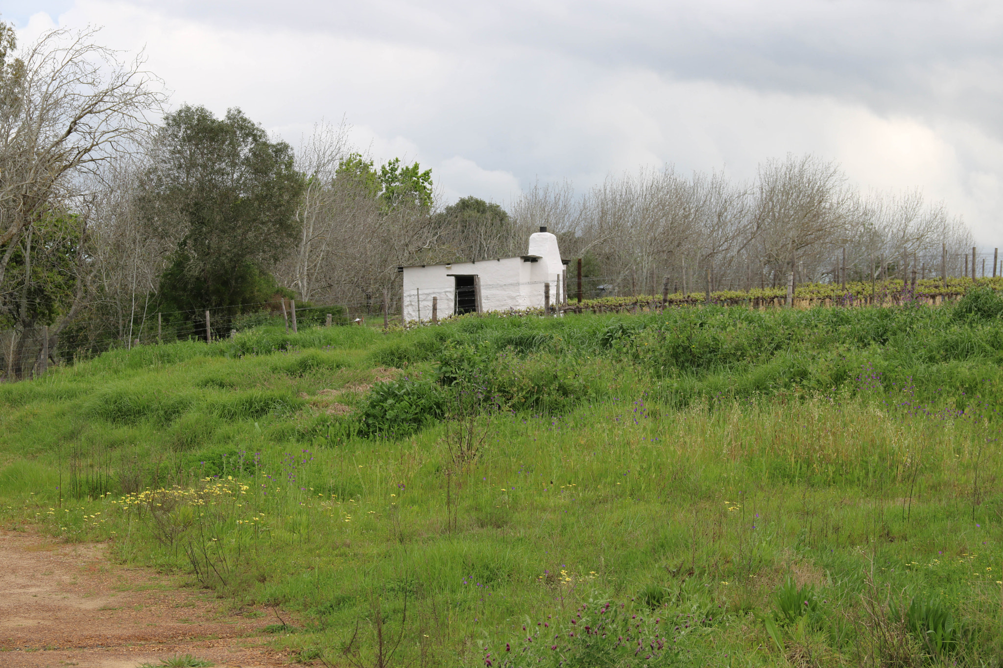 Canon EOS 750D (EOS Rebel T6i / EOS Kiss X8i) sample photo. Forgotten house photography