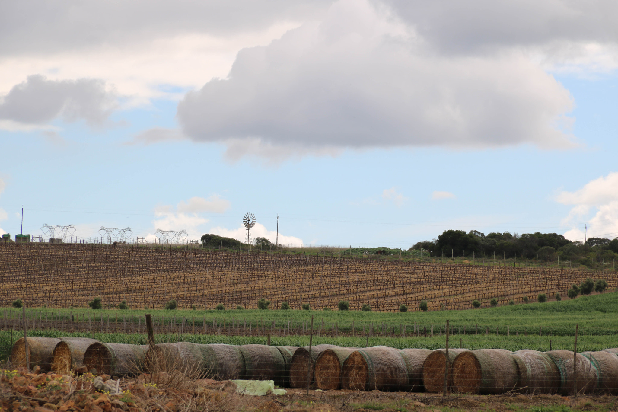 Canon EOS 750D (EOS Rebel T6i / EOS Kiss X8i) sample photo. After the harvest photography