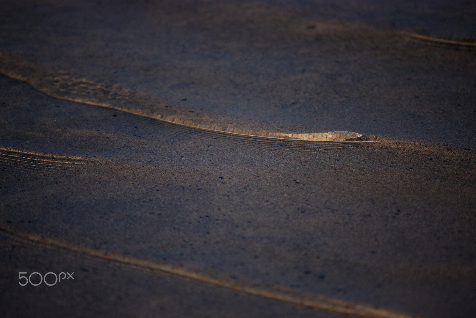 Nikon D80 sample photo. Small ripples i photography