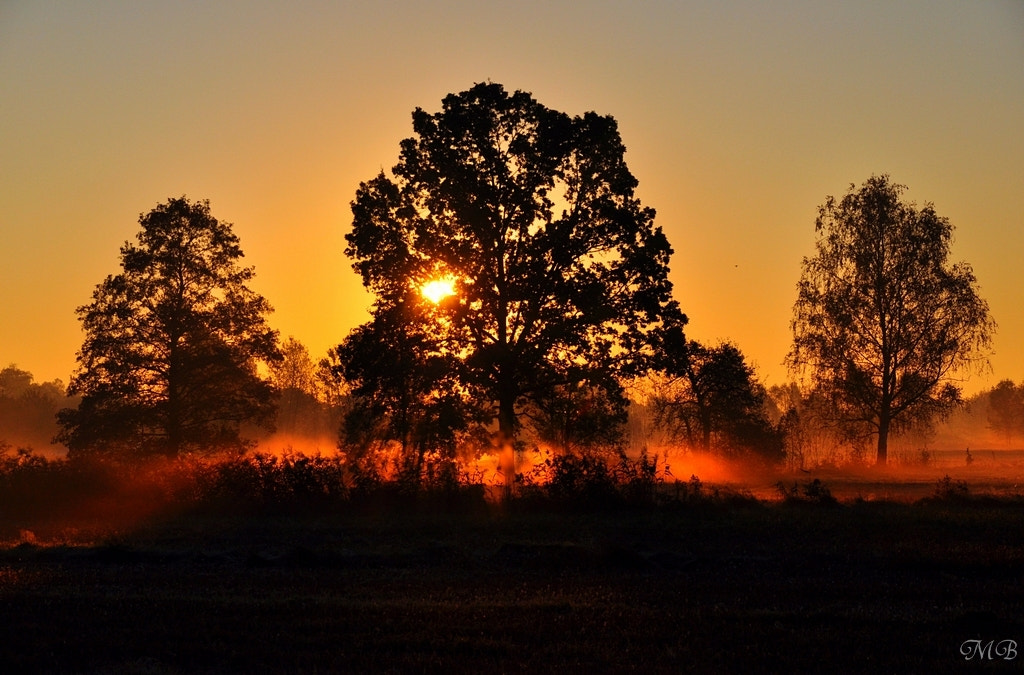 Nikon D90 sample photo. Sunrise photography