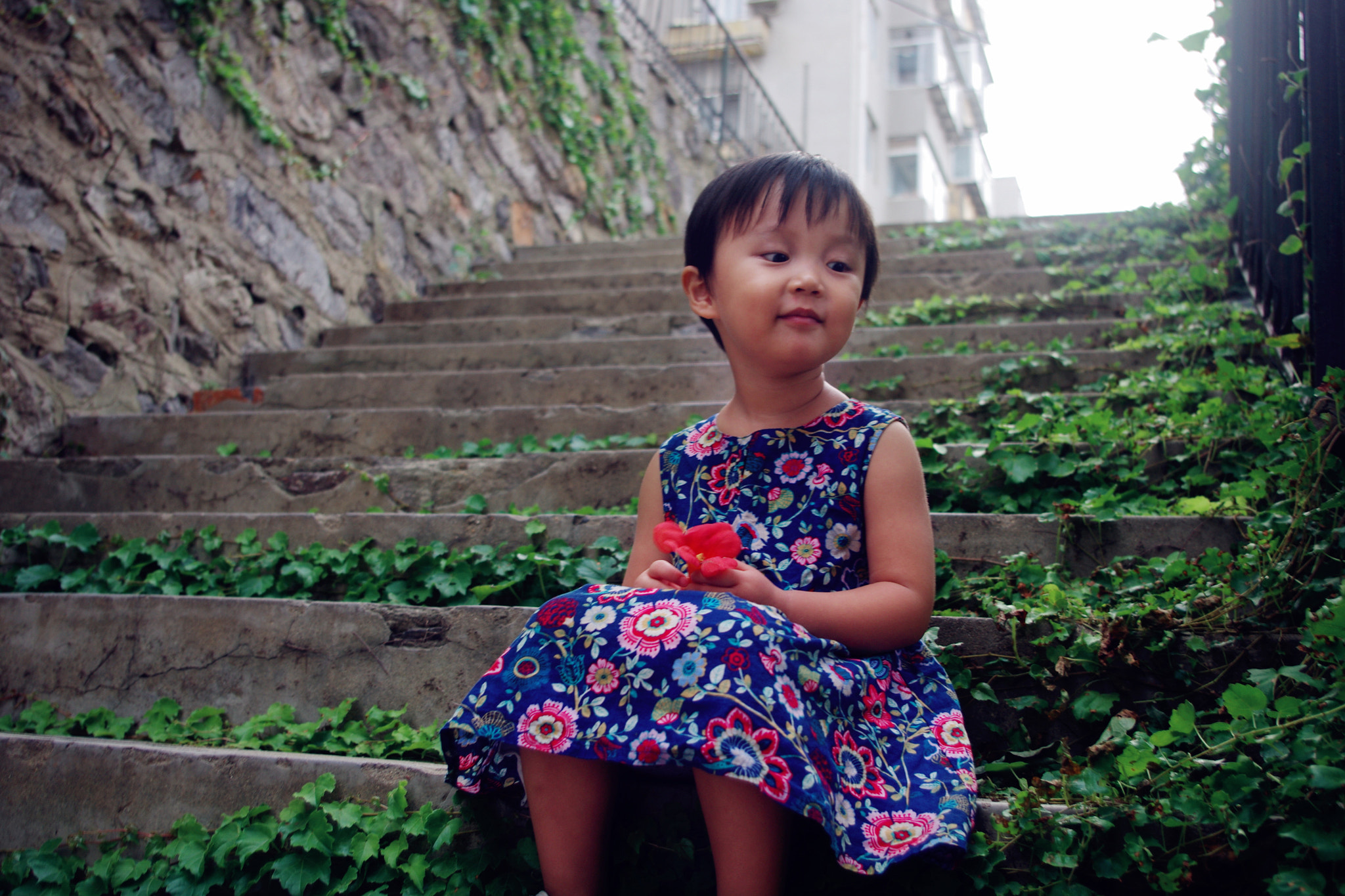 smc PENTAX-DA L 18-55mm F3.5-5.6 sample photo. Lu fei  da lian photography