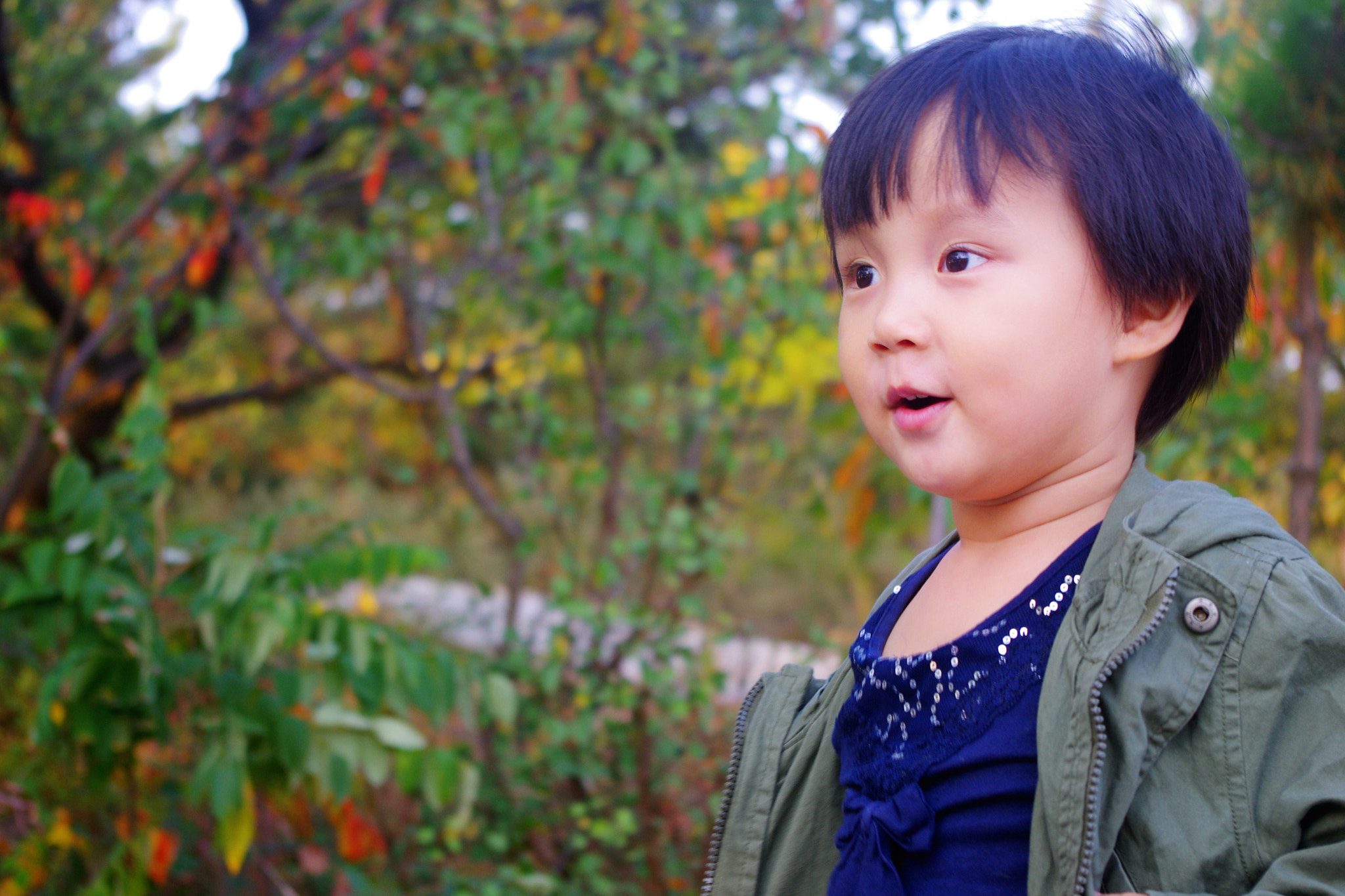 smc PENTAX-DA L 18-55mm F3.5-5.6 sample photo. Lu fei  da lian  autumn photography