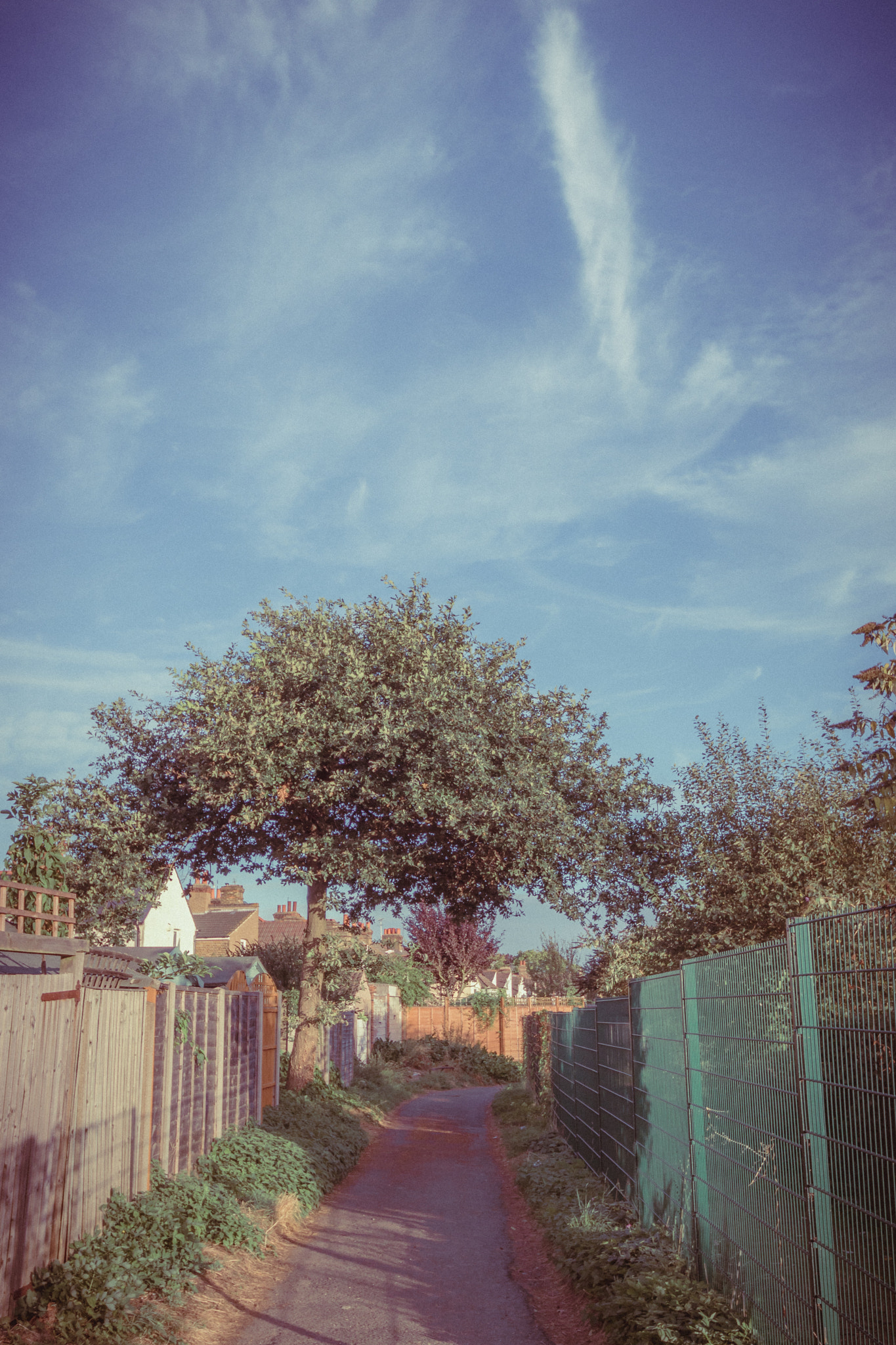 Canon EOS 760D (EOS Rebel T6s / EOS 8000D) + Sigma 10-20mm F4-5.6 EX DC HSM sample photo. The backside of suburbia photography